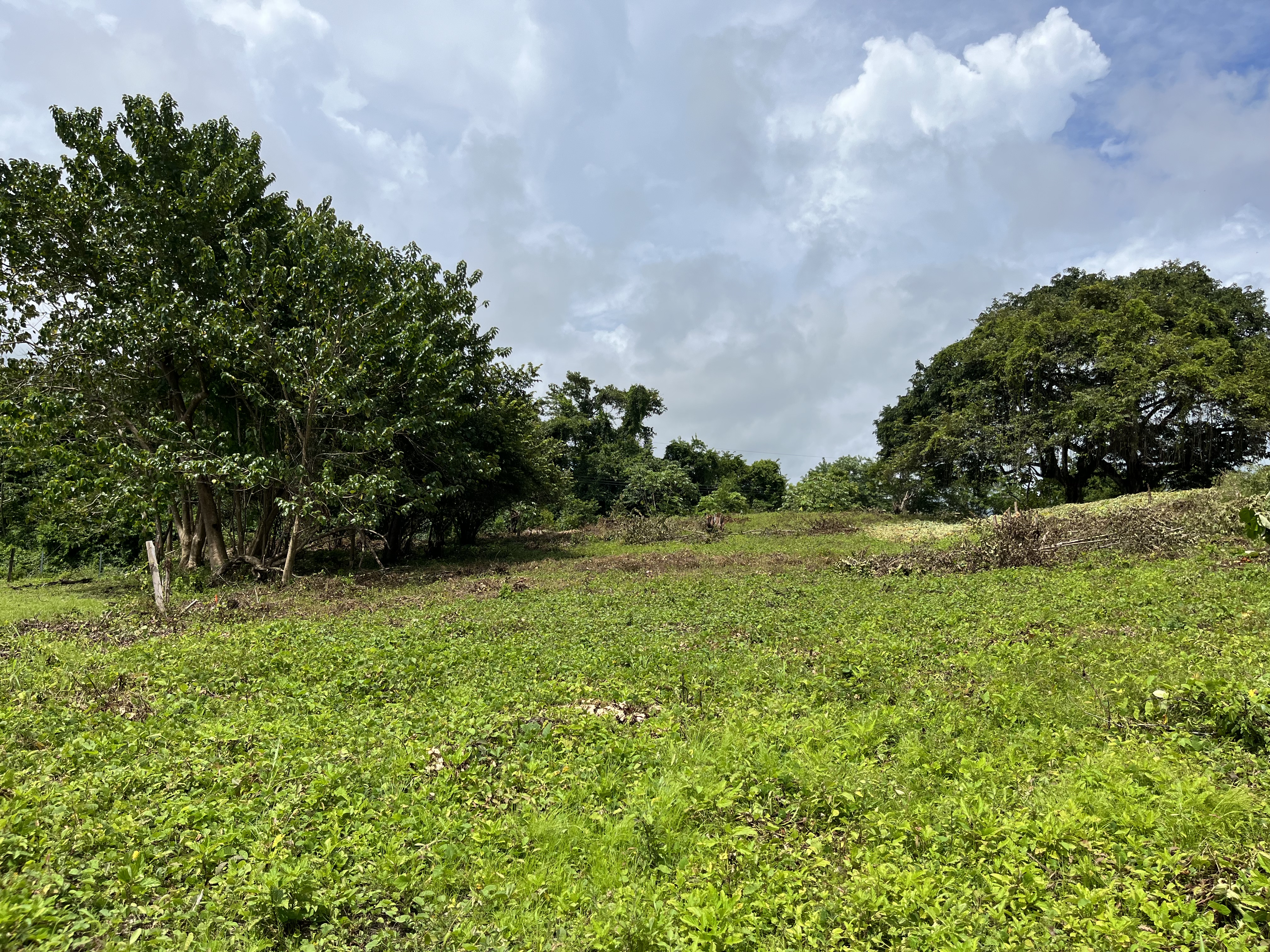 0 bed Land For Sale in Samara, Guanacaste - thumb 6