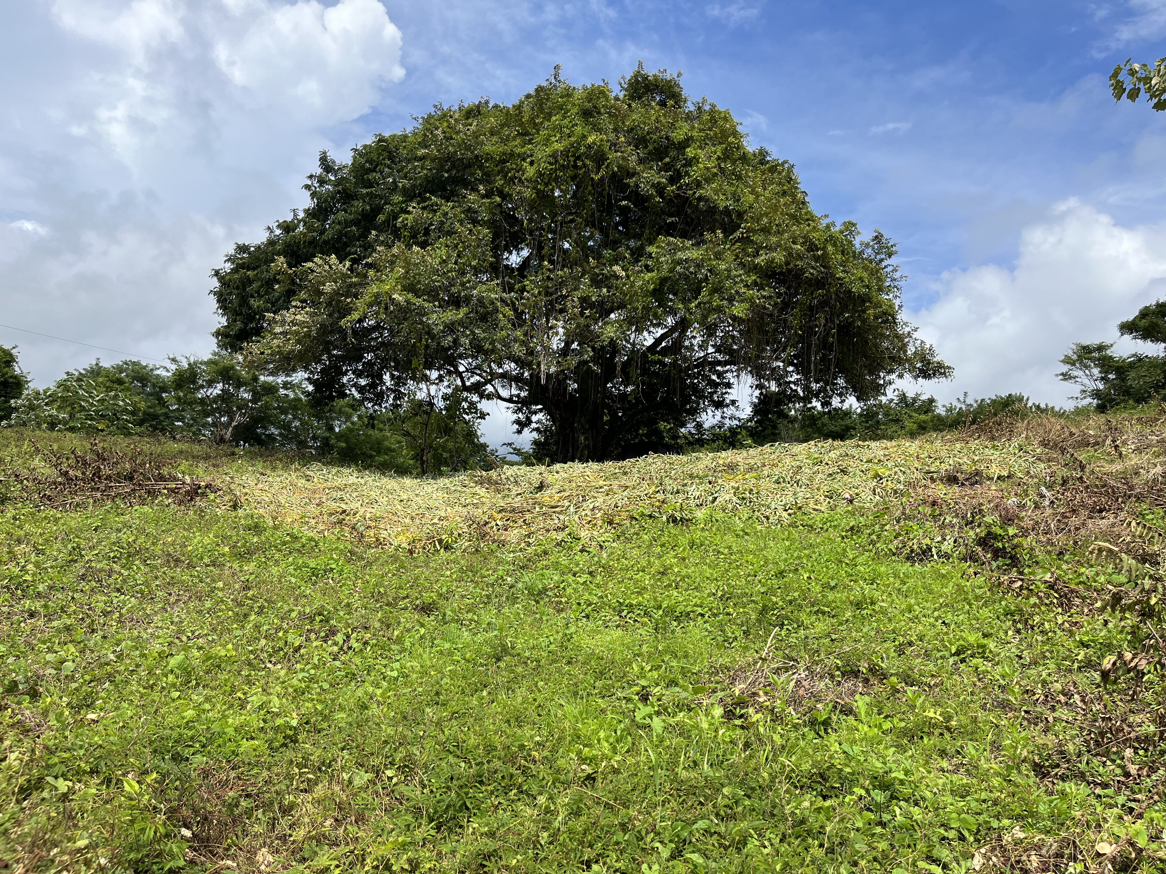 0 bed Land For Sale in Samara, Guanacaste - thumb 2