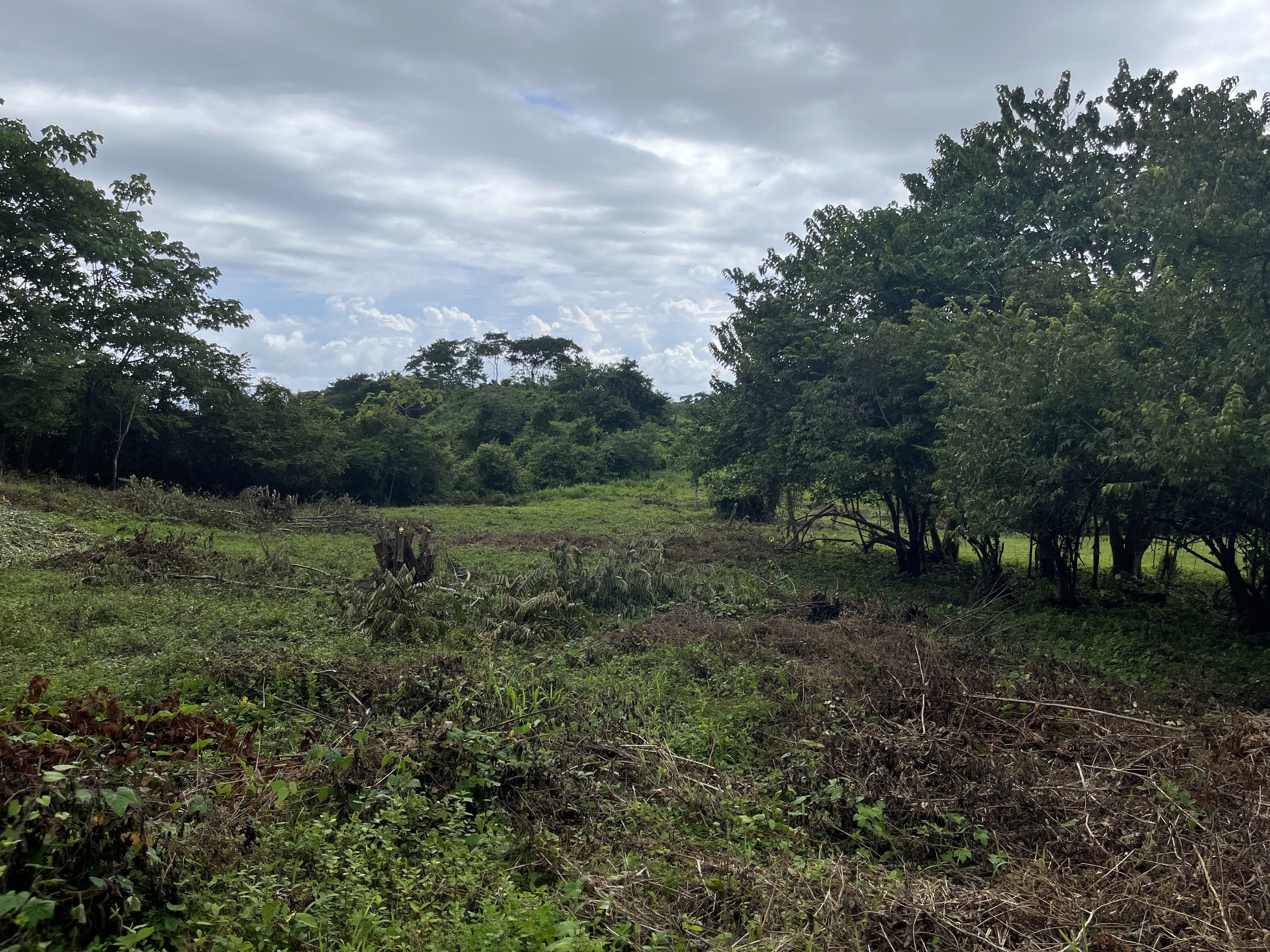 0 bed Land For Sale in Samara, Guanacaste - thumb 12
