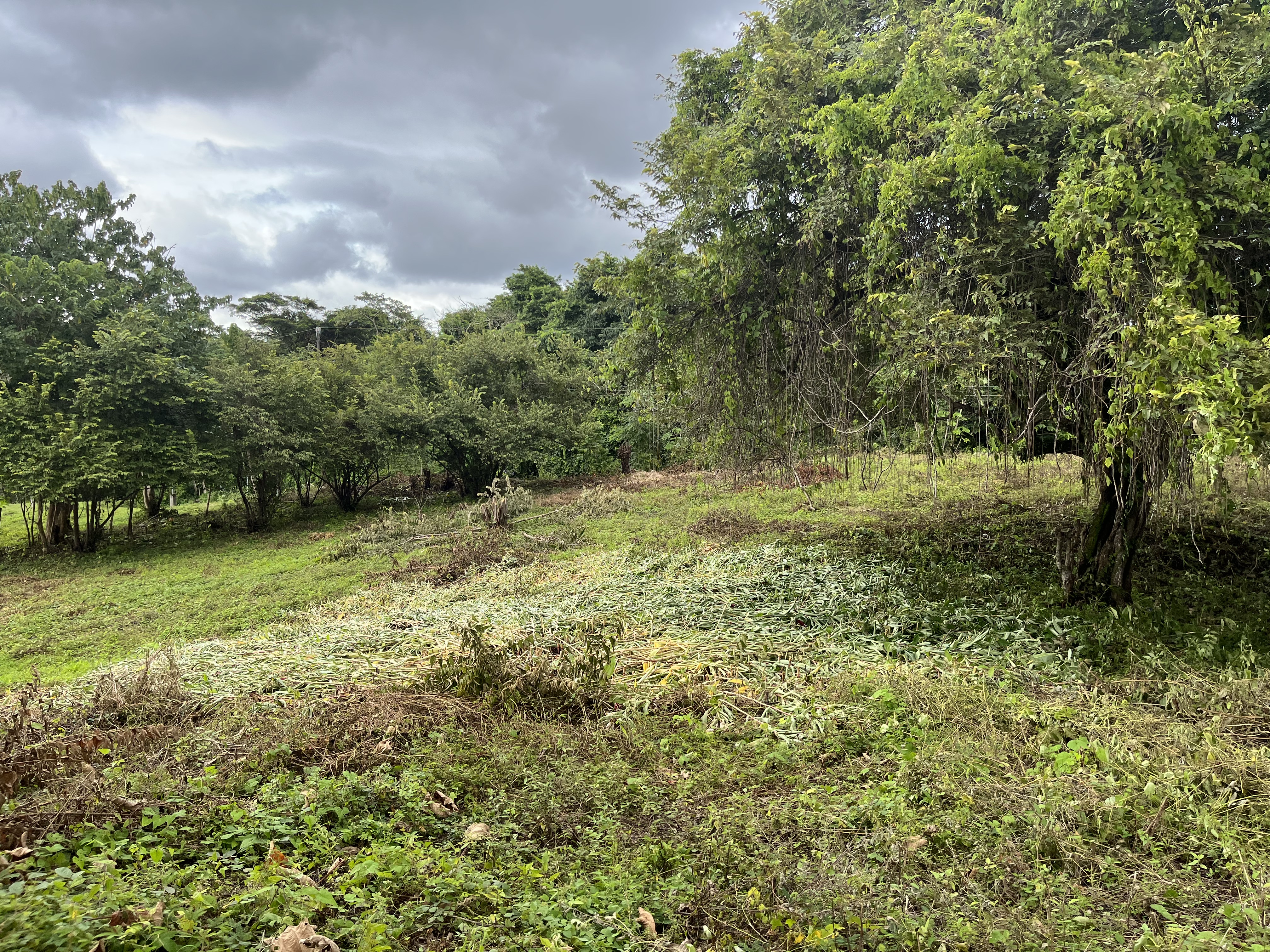 0 bed Land For Sale in Samara, Guanacaste - thumb 8