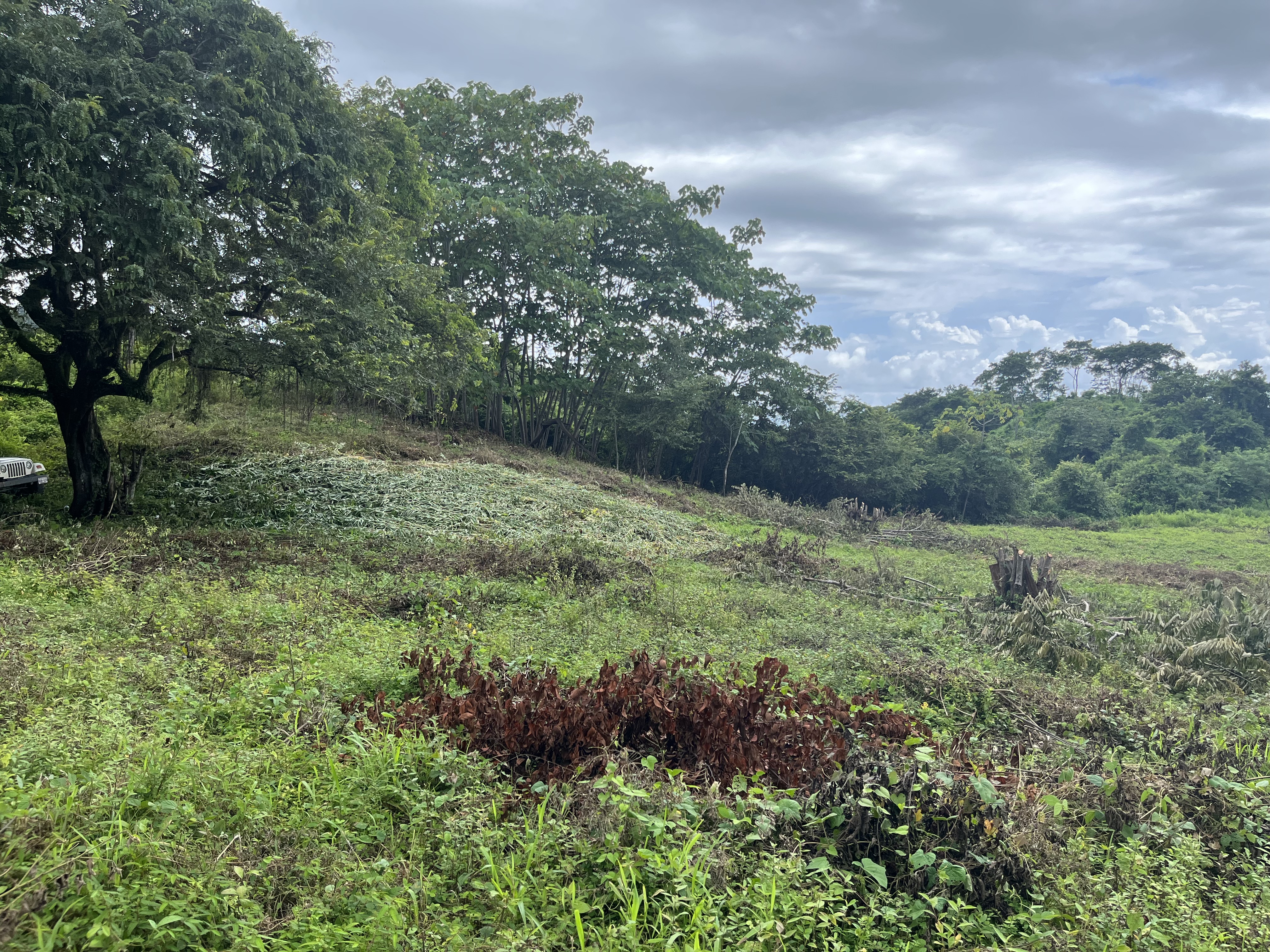 0 bed Land For Sale in Samara, Guanacaste - thumb 11
