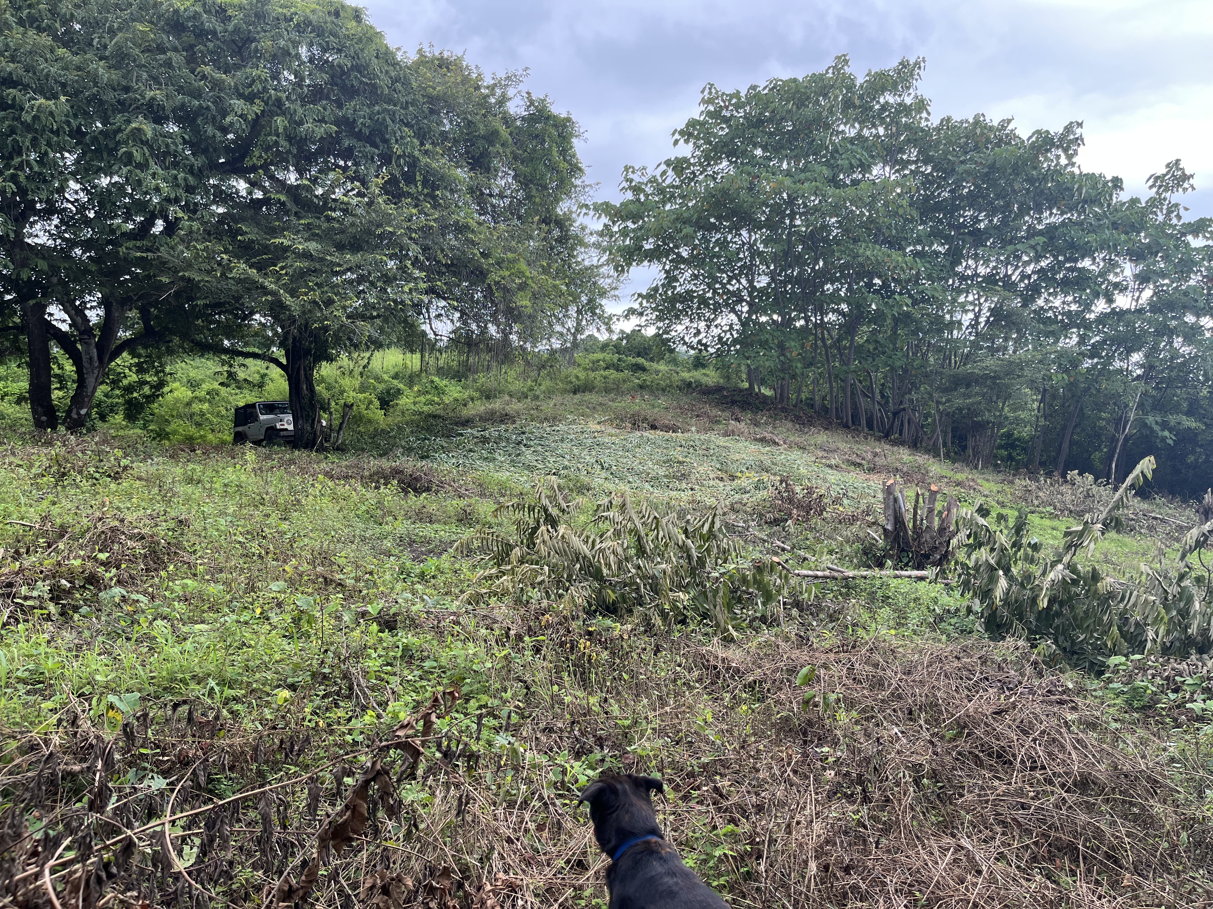 0 bed Land For Sale in Samara, Guanacaste - thumb 14