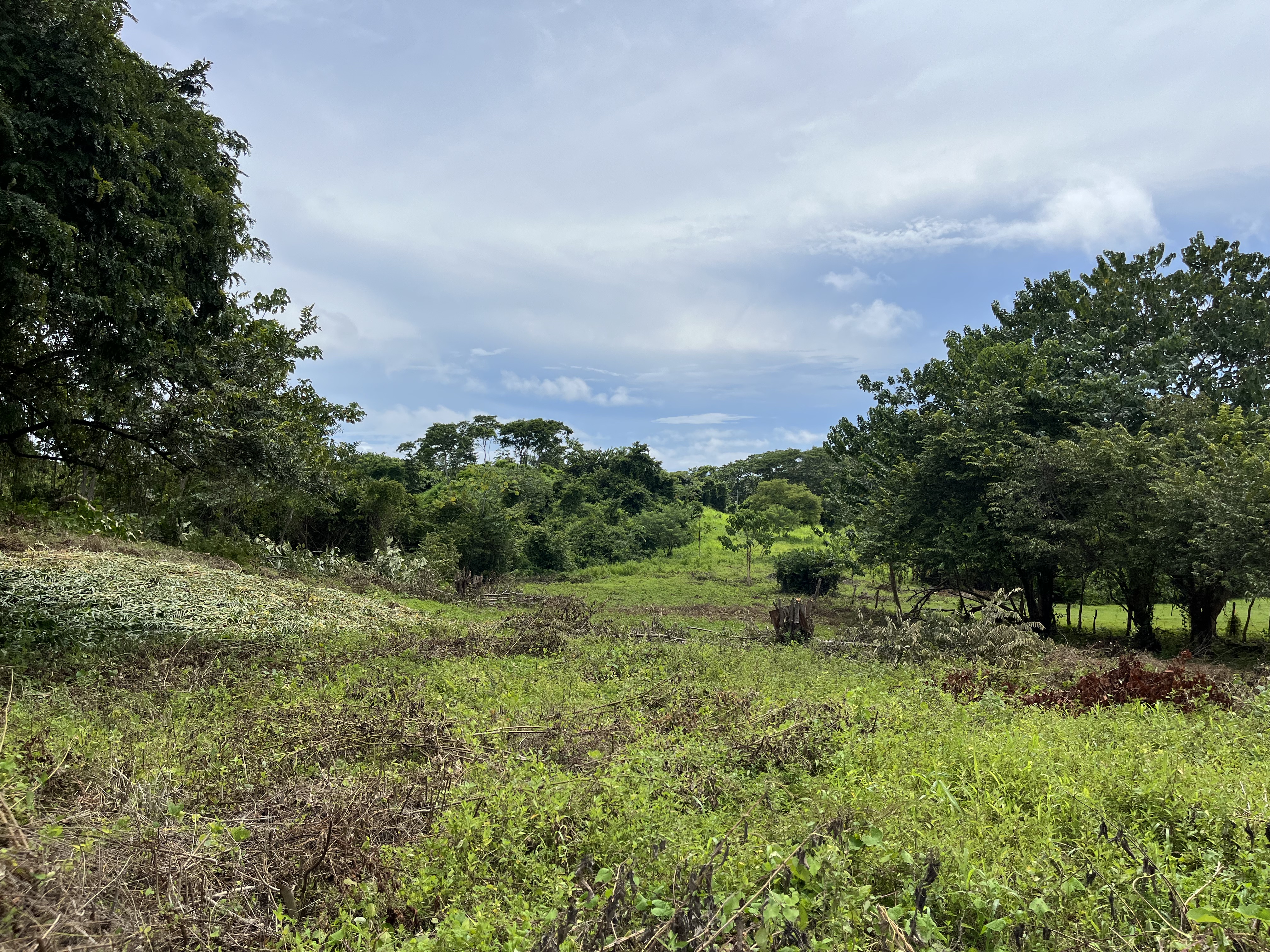 0 bed Land For Sale in Samara, Guanacaste - thumb 1