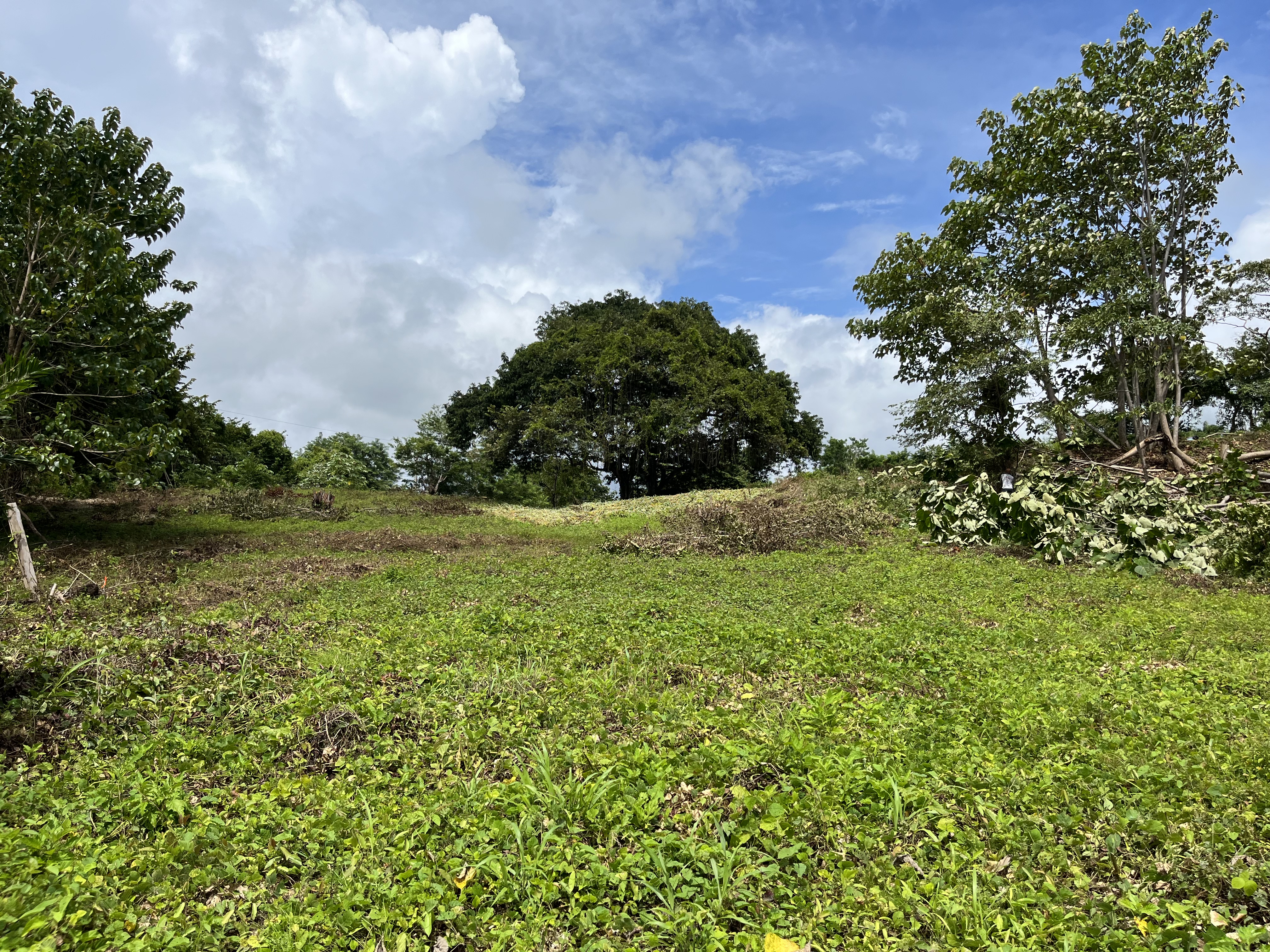 0 bed Land For Sale in Samara, Guanacaste - thumb 4