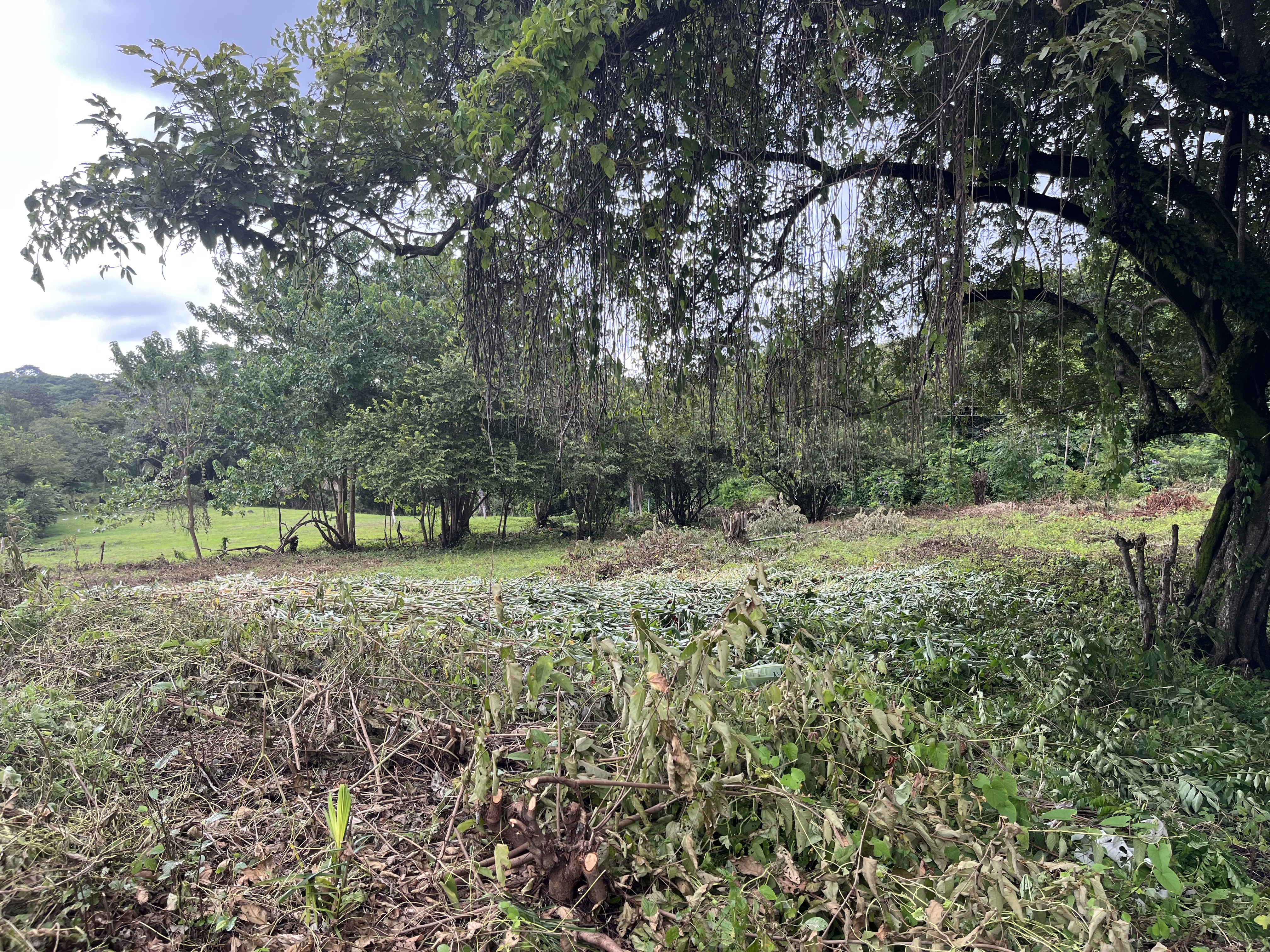 0 bed Land For Sale in Samara, Guanacaste - thumb 9