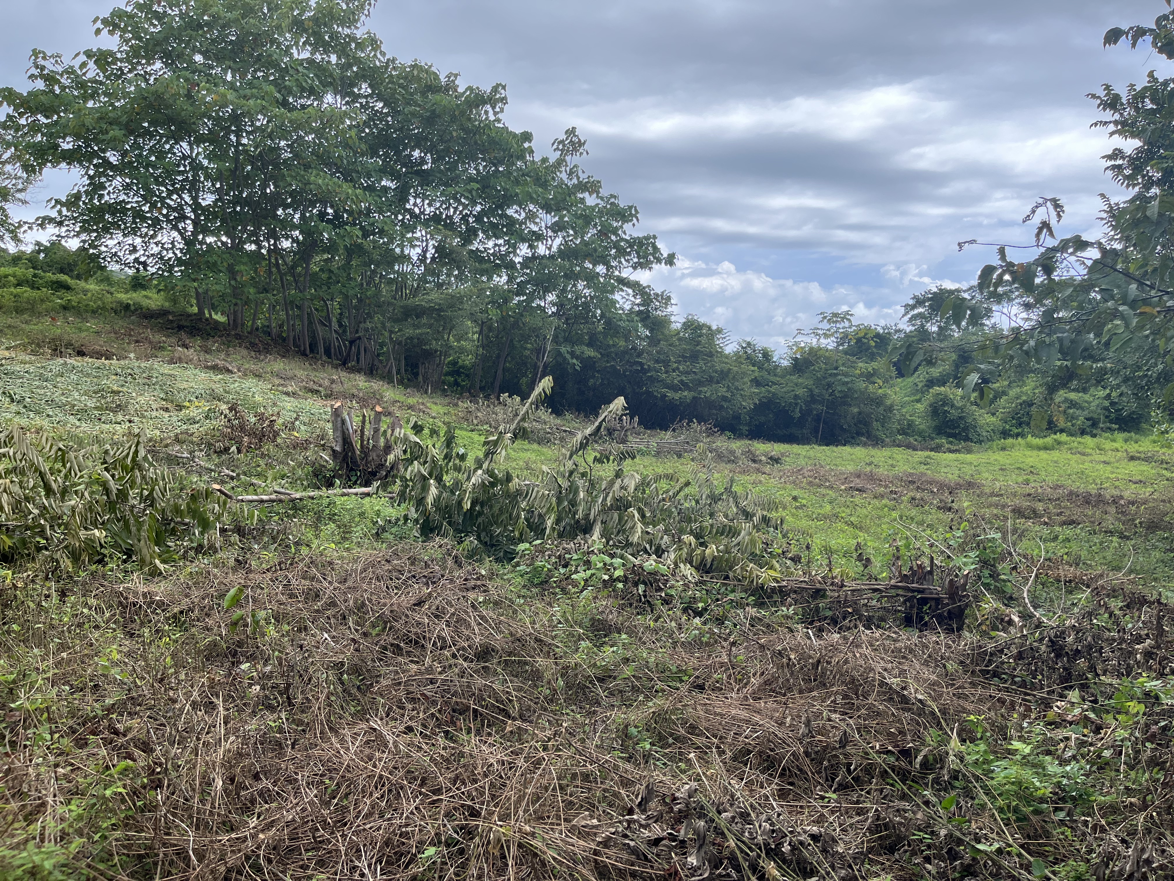 0 bed Land For Sale in Samara, Guanacaste - thumb 15
