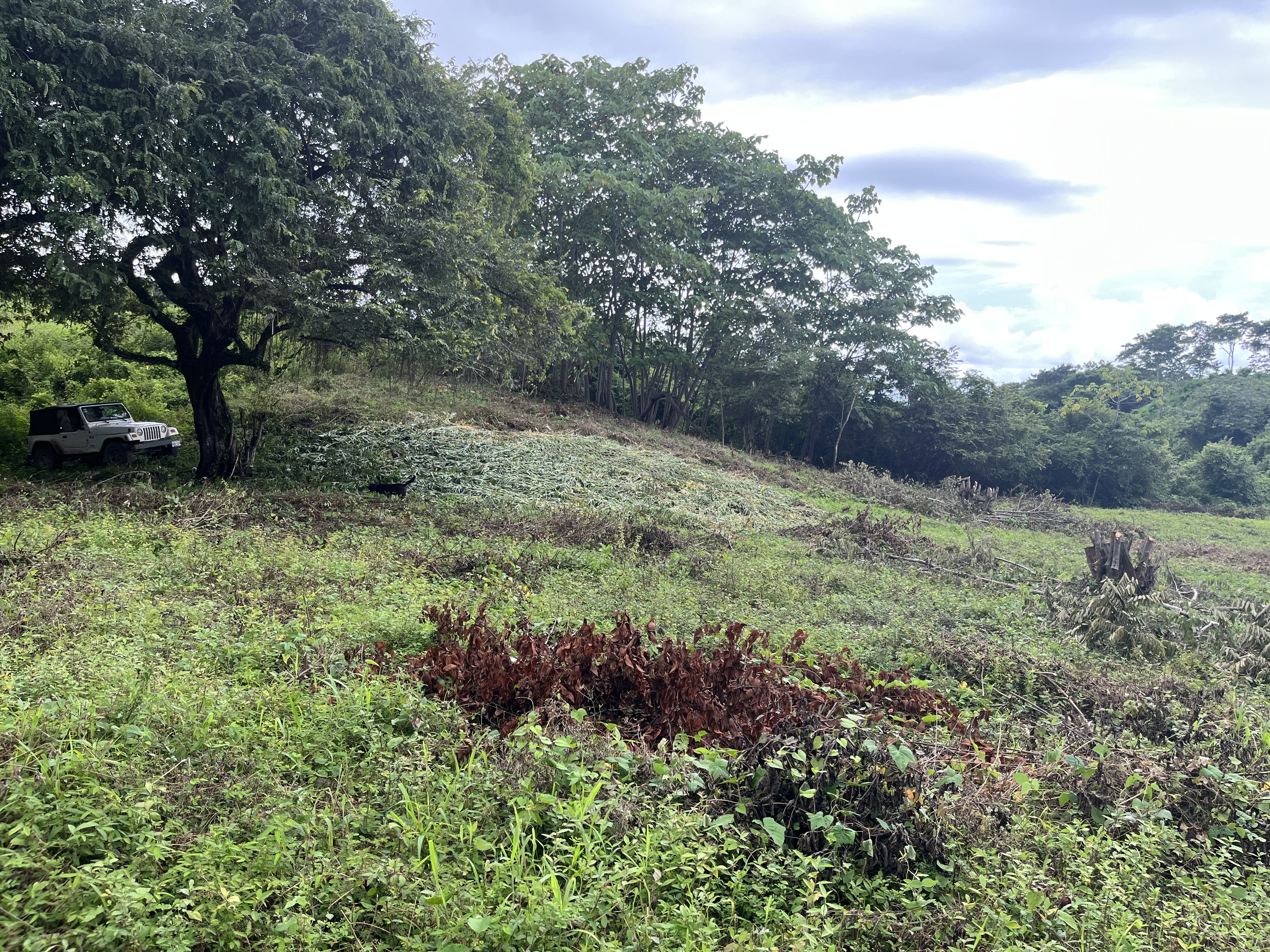 0 bed Land For Sale in Samara, Guanacaste - thumb 13