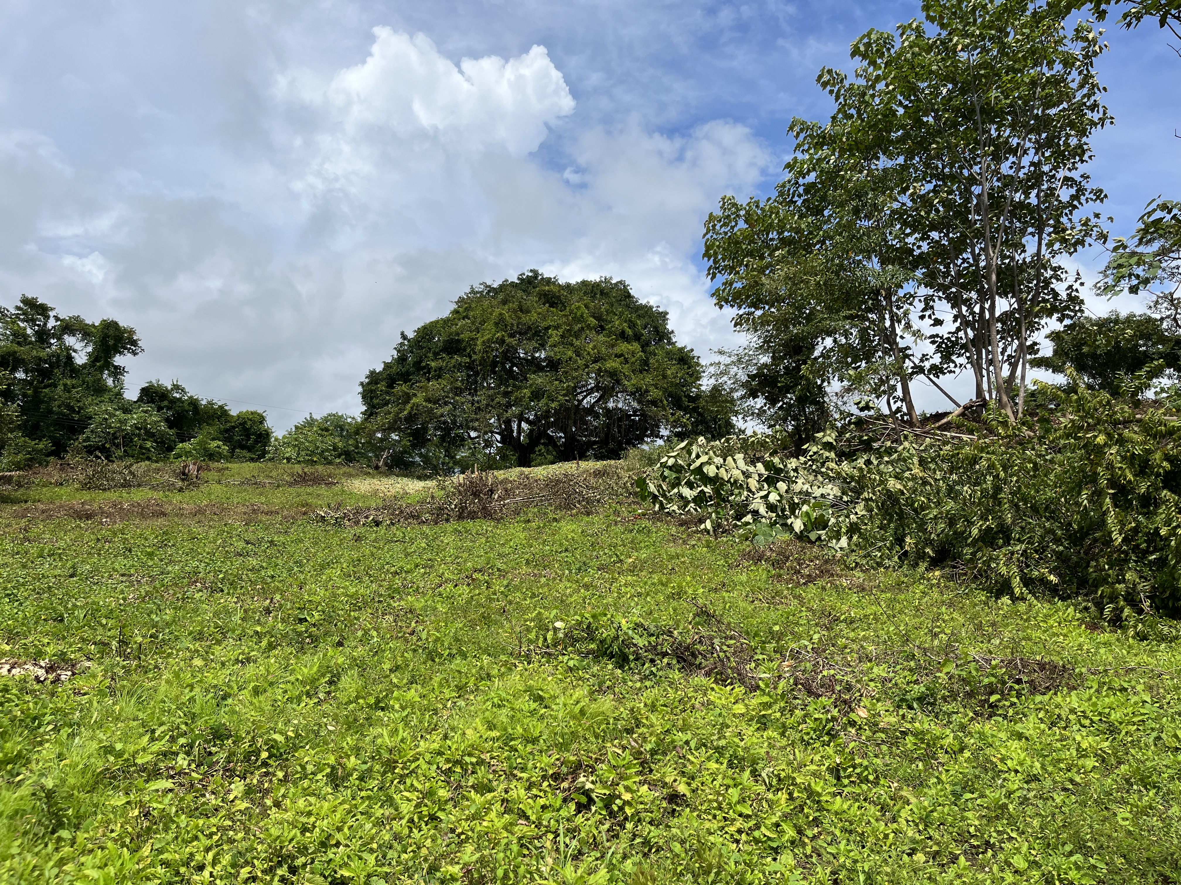 0 bed Land For Sale in Samara, Guanacaste - thumb 5