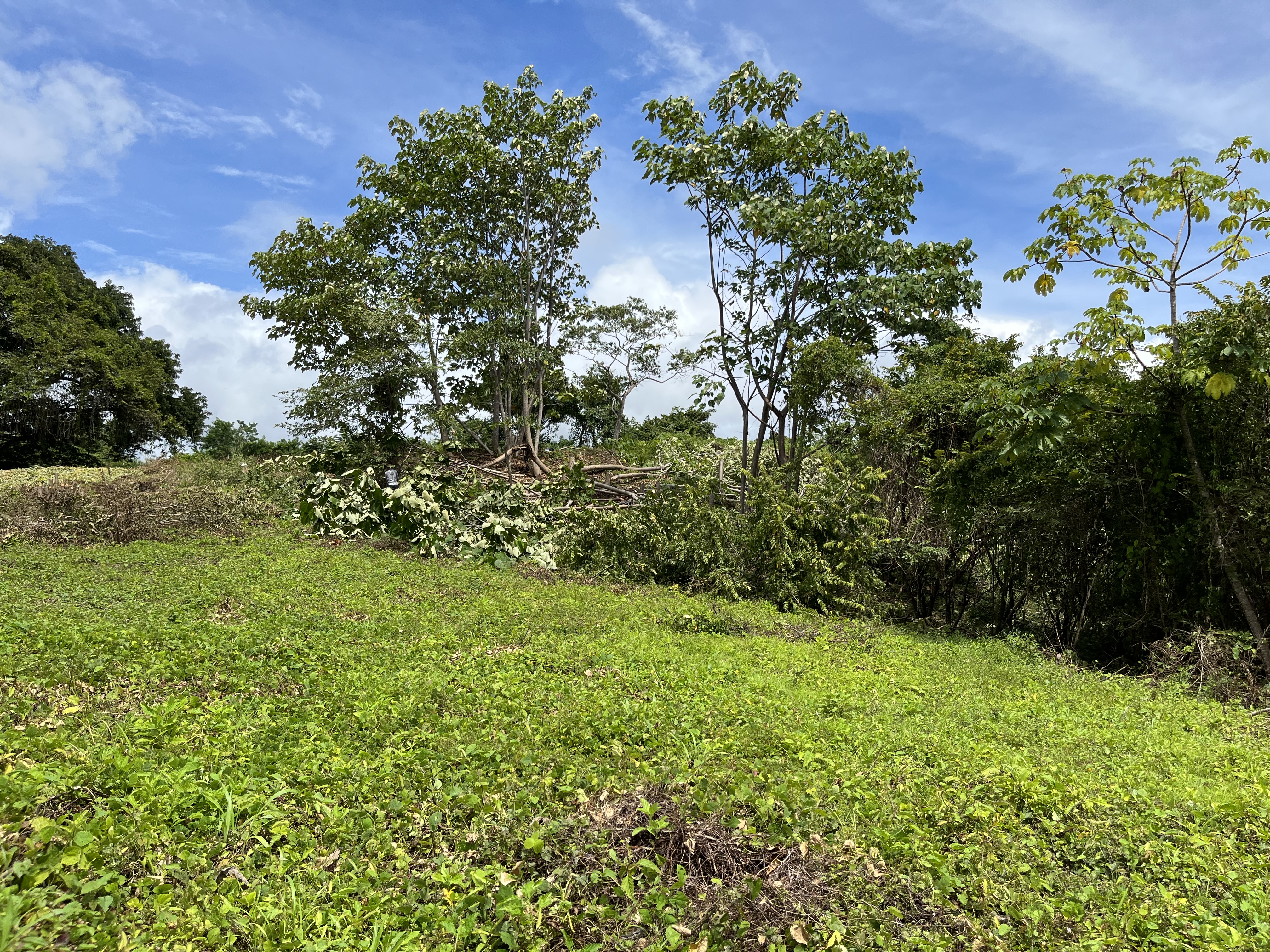 0 bed Land For Sale in Samara, Guanacaste - thumb 3