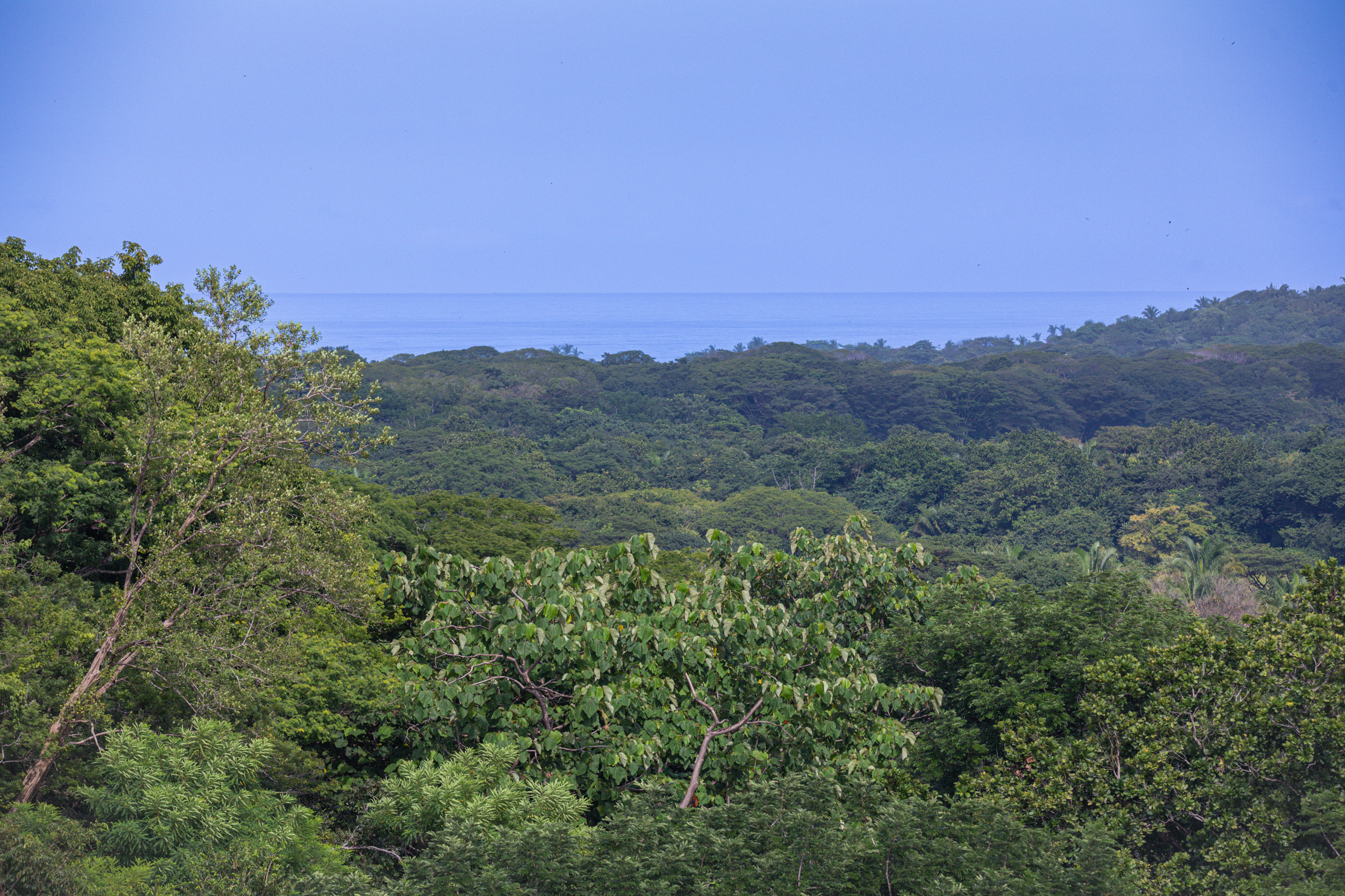 0 bed Land For Sale in Nosara, Guanacaste - thumb 4