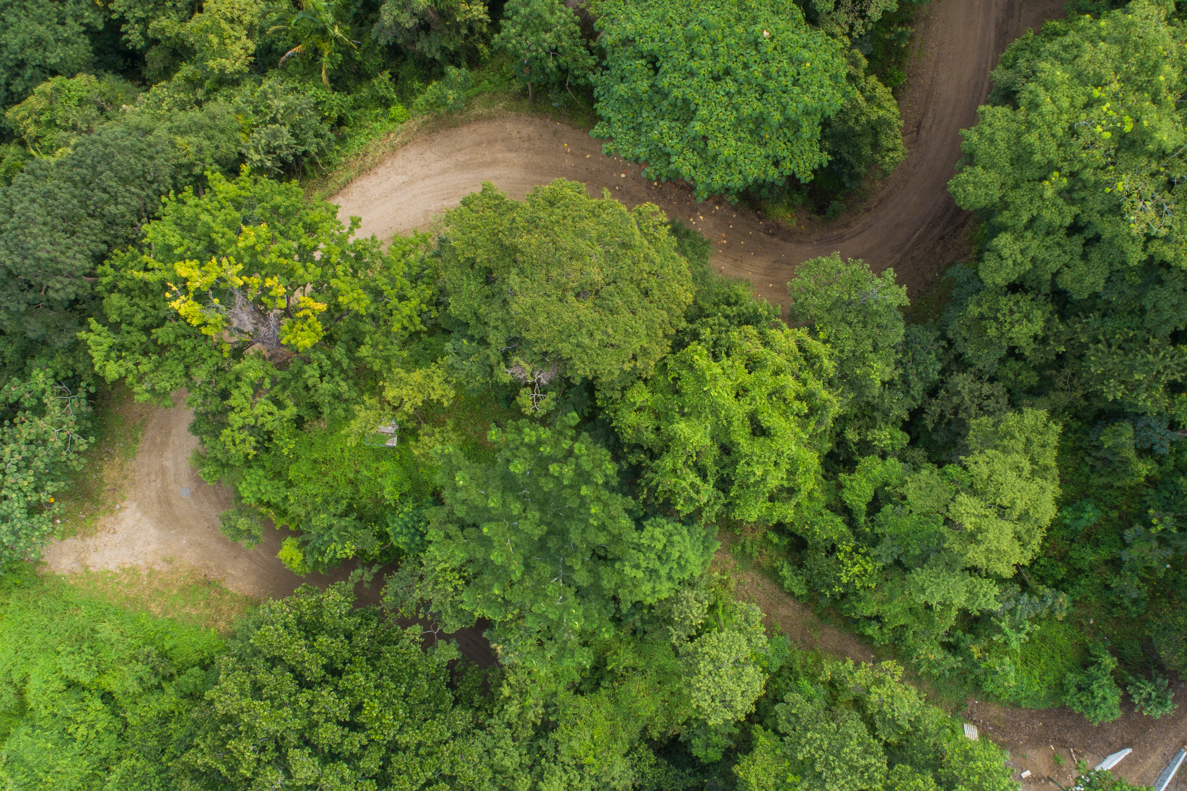 0 bed Land For Sale in Nosara, Guanacaste - thumb 8
