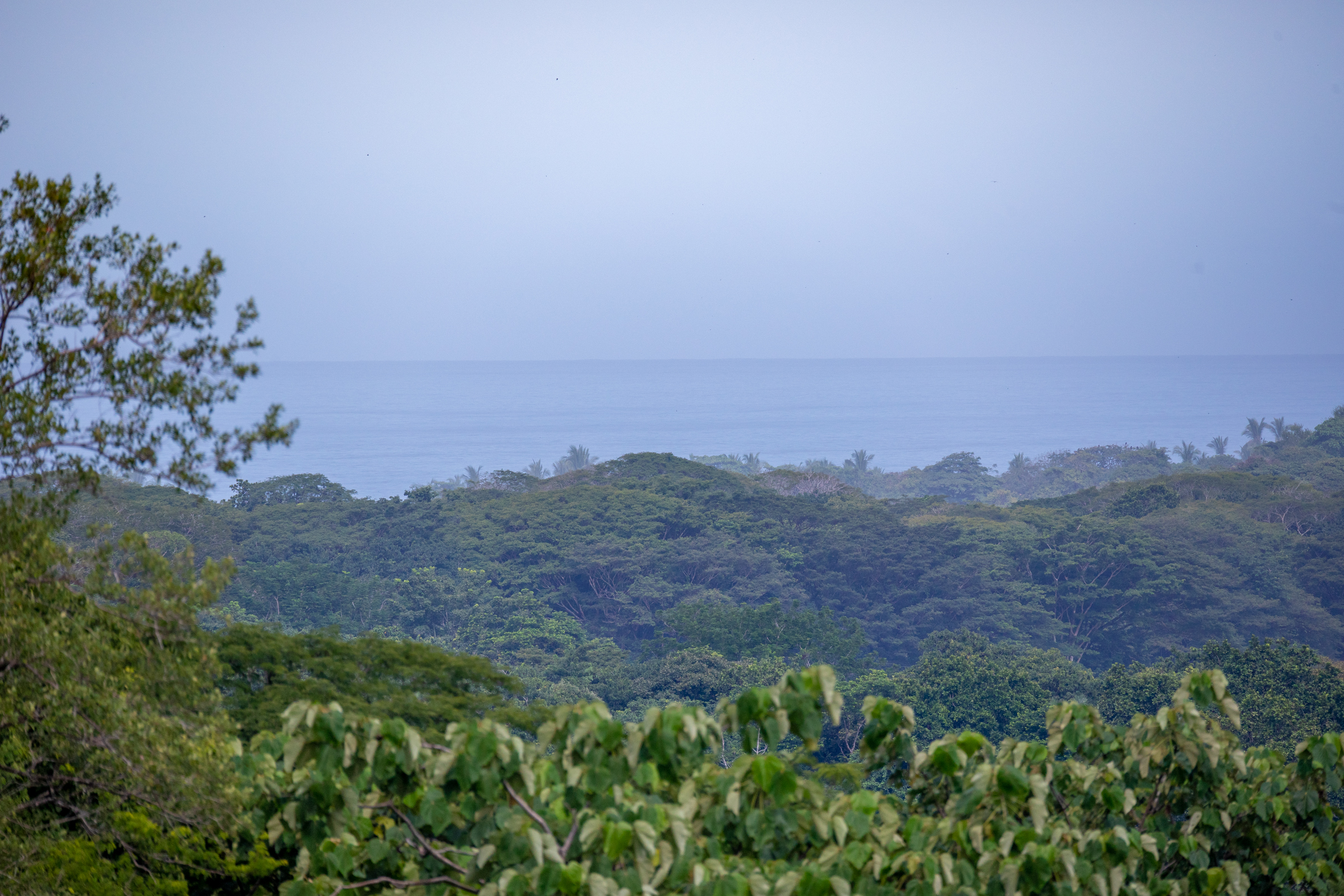 0 bed Land For Sale in Nosara, Guanacaste - thumb 1