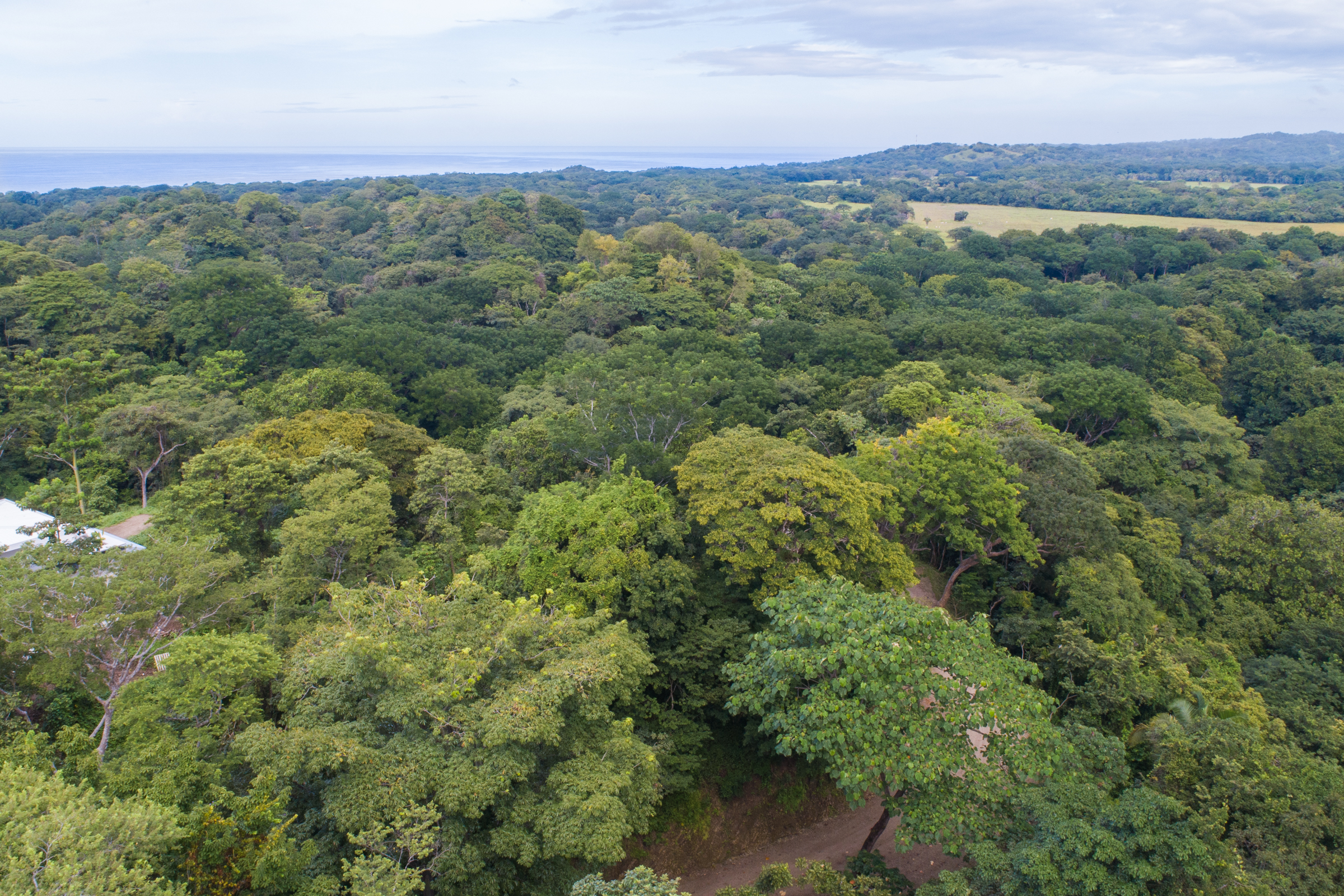 0 bed Land For Sale in Nosara, Guanacaste - thumb 9