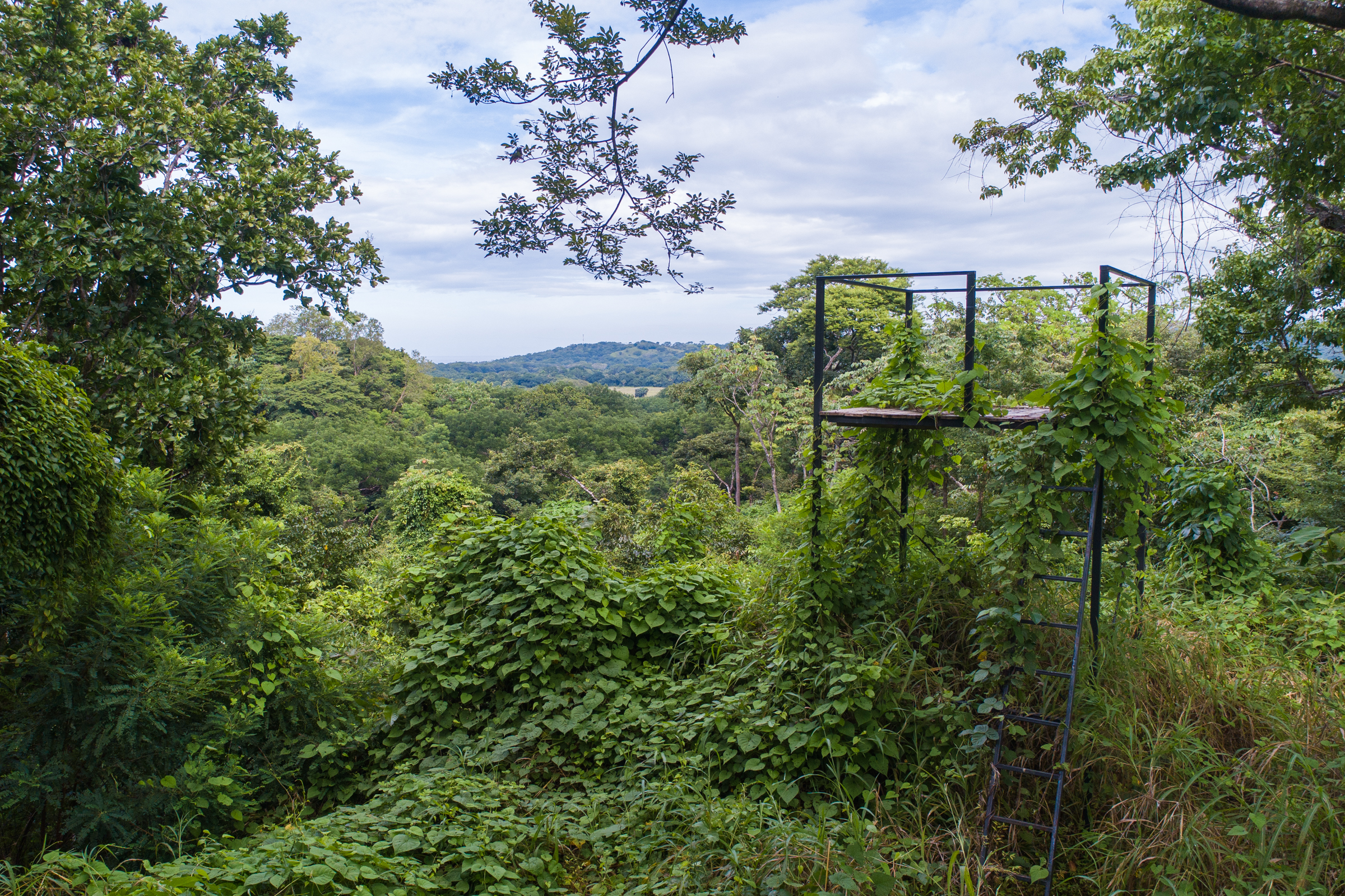 0 bed Land For Sale in Nosara, Guanacaste - thumb 12