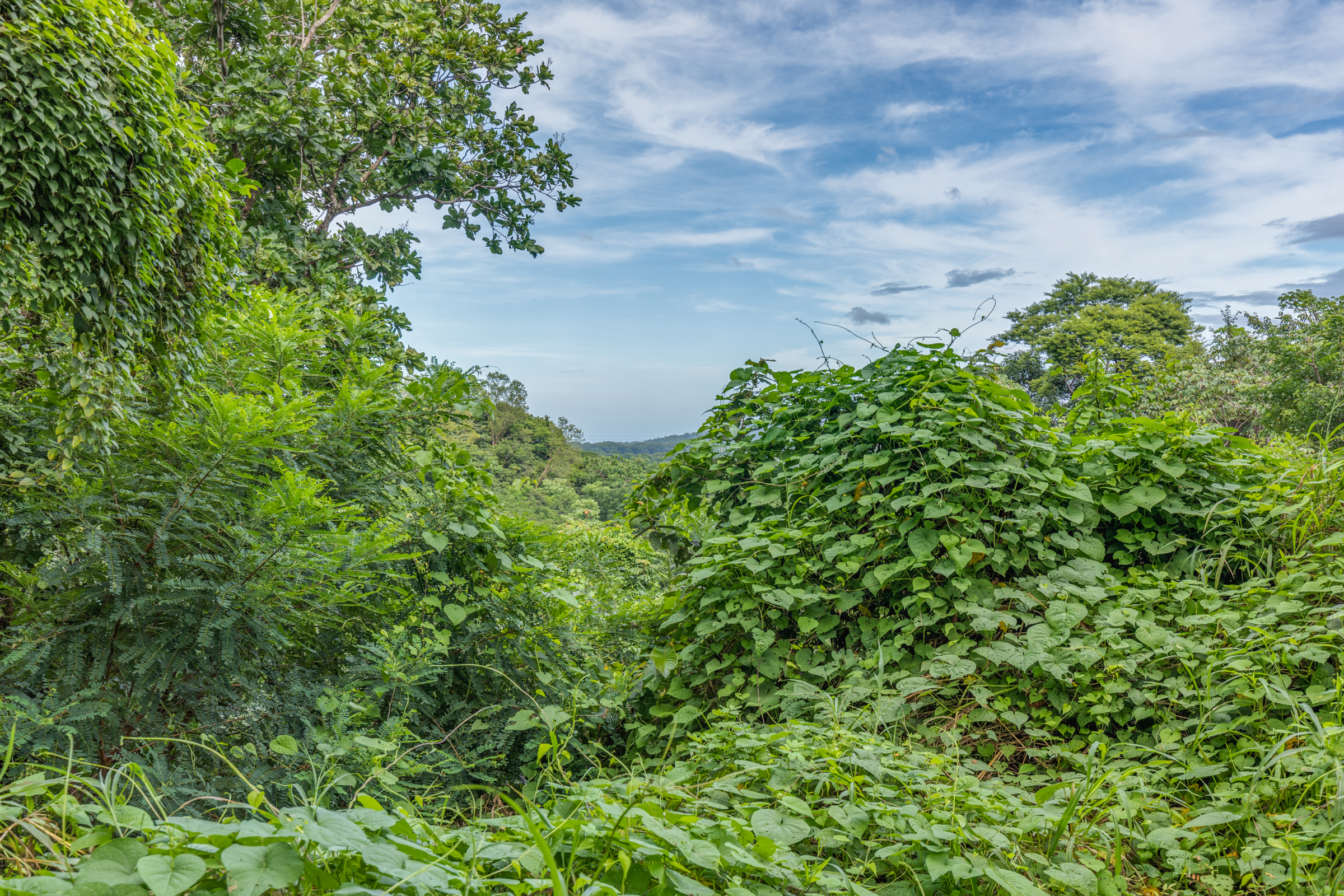 0 bed Land For Sale in Nosara, Guanacaste - thumb 19