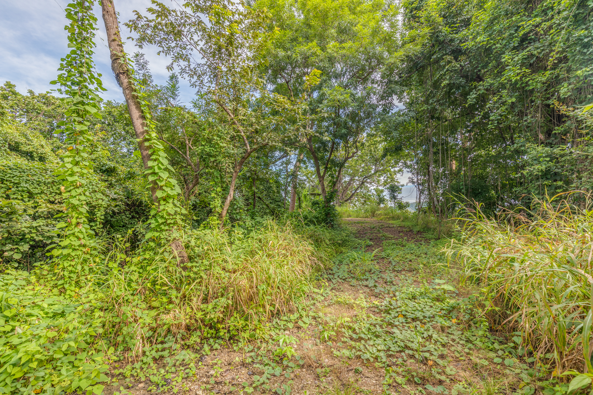 0 bed Land For Sale in Nosara, Guanacaste - thumb 17