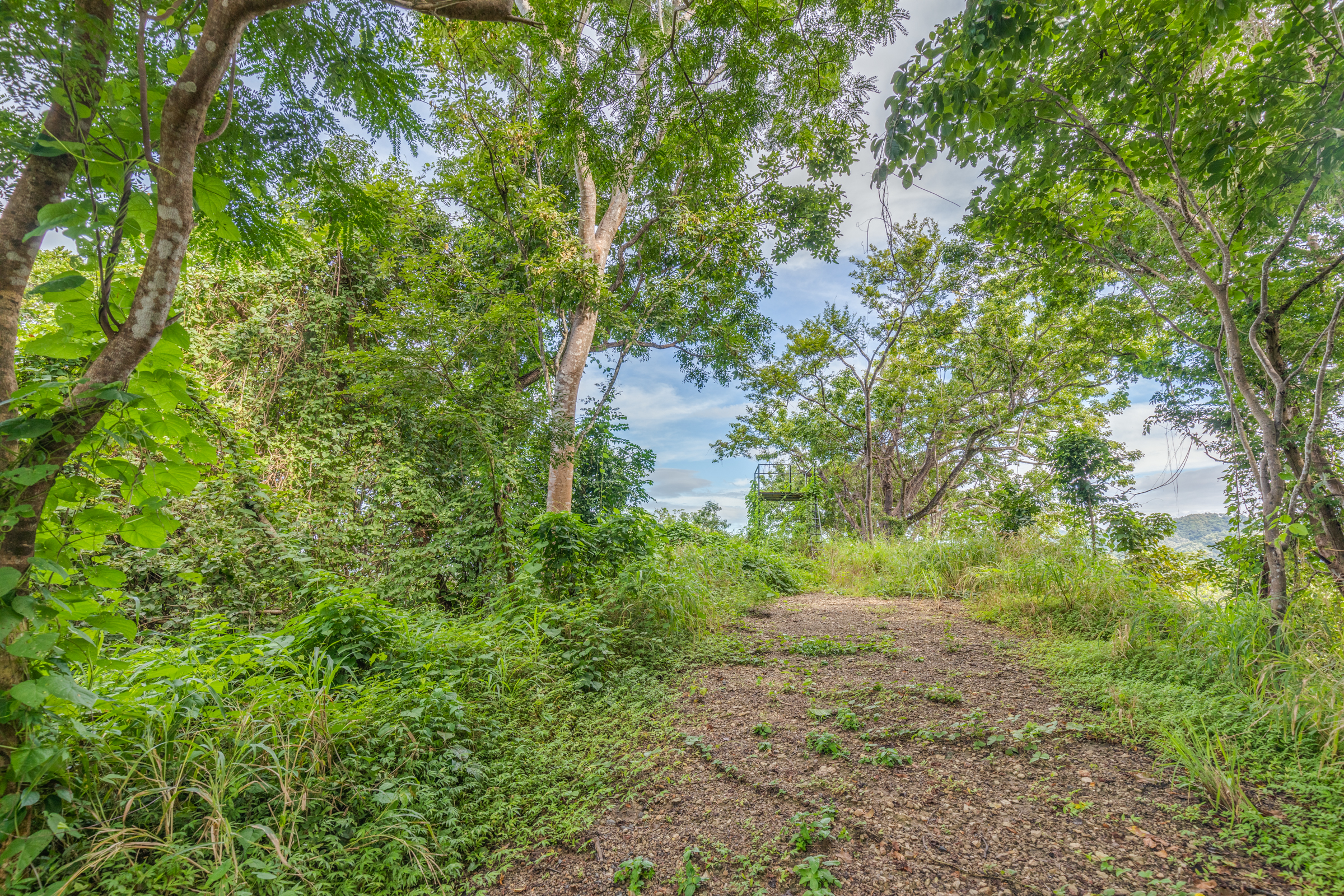 0 bed Land For Sale in Nosara, Guanacaste - thumb 16