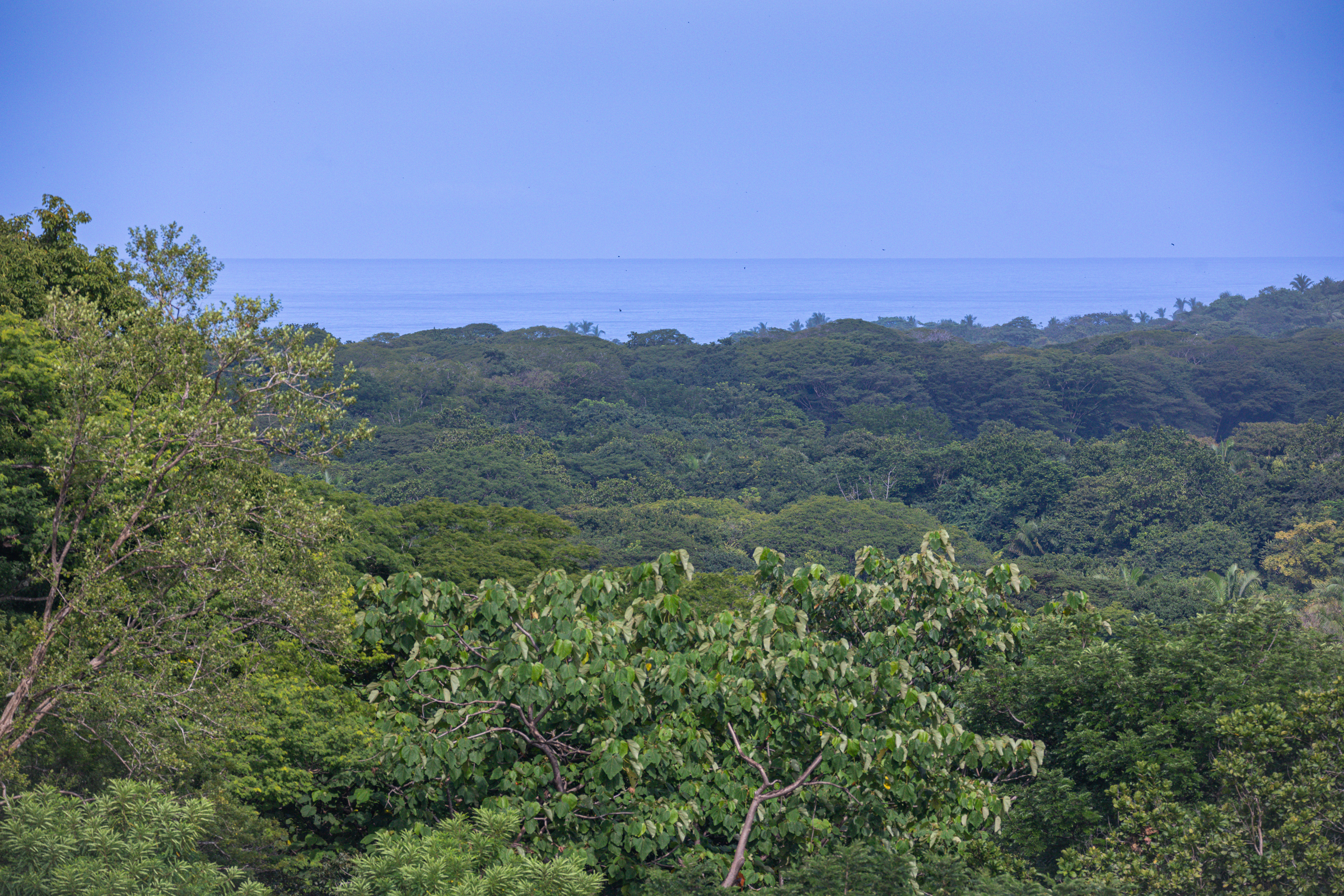 0 bed Land For Sale in Nosara, Guanacaste - thumb 3