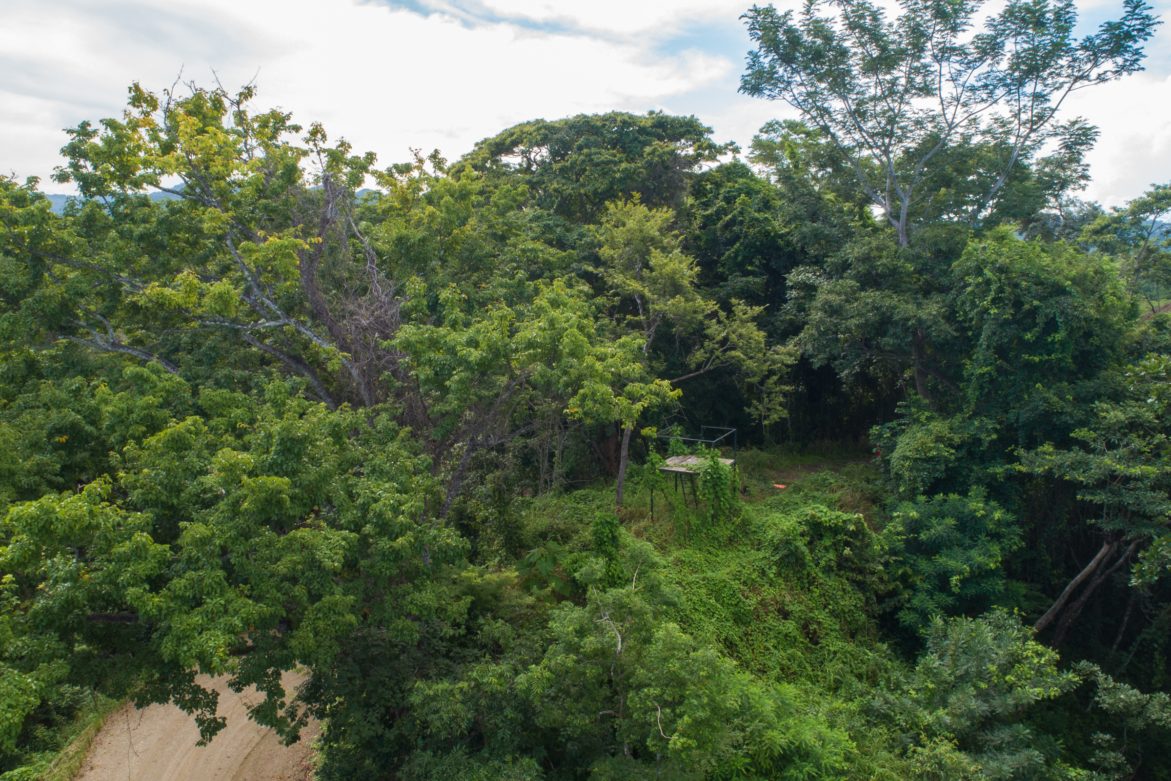 0 bed Land For Sale in Nosara, Guanacaste - thumb 7