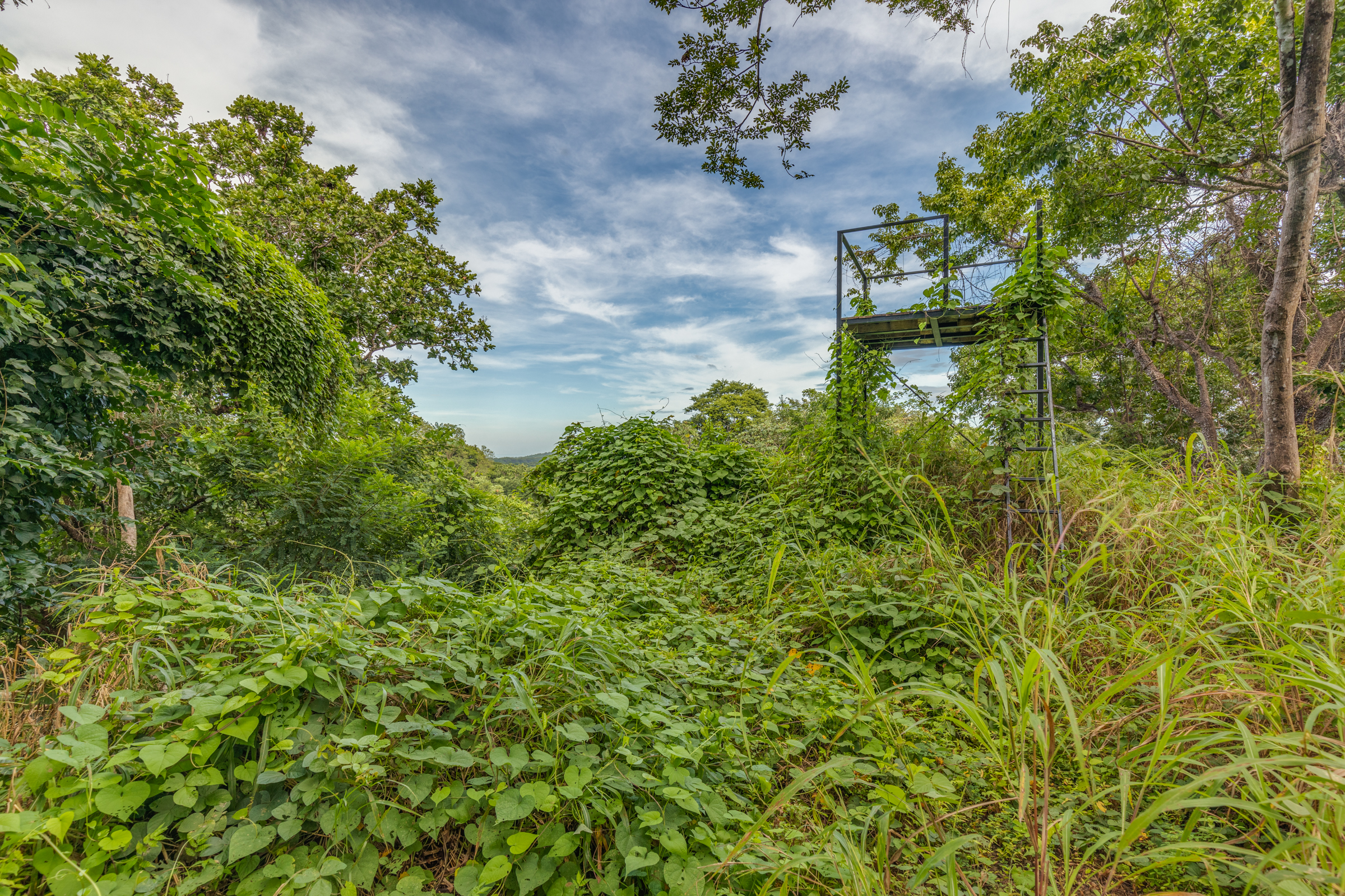 0 bed Land For Sale in Nosara, Guanacaste - thumb 14