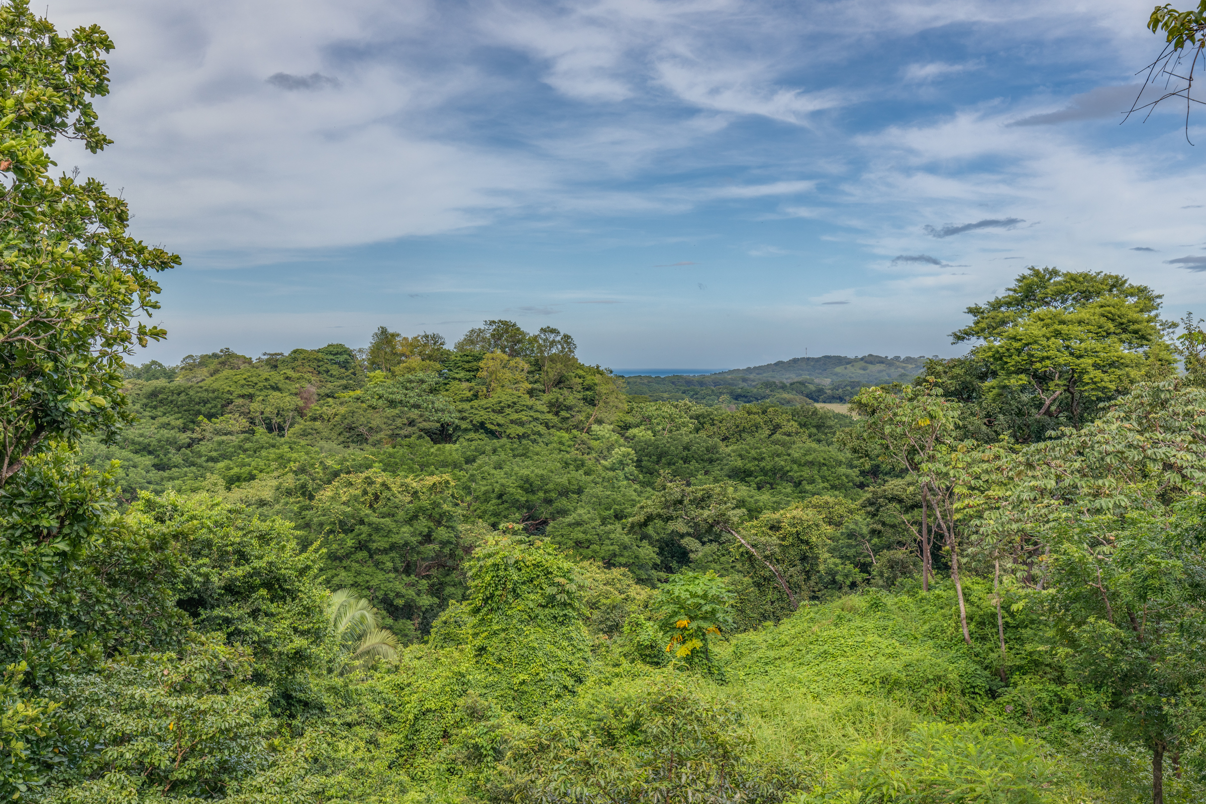 0 bed Land For Sale in Nosara, Guanacaste - thumb 20