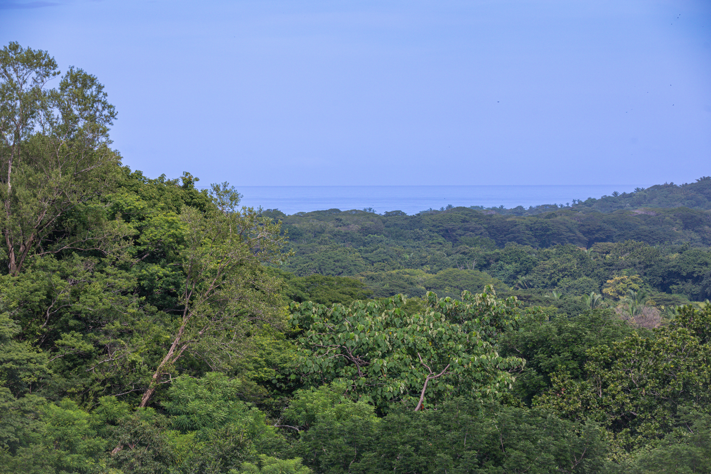 0 bed Land For Sale in Nosara, Guanacaste - thumb 5