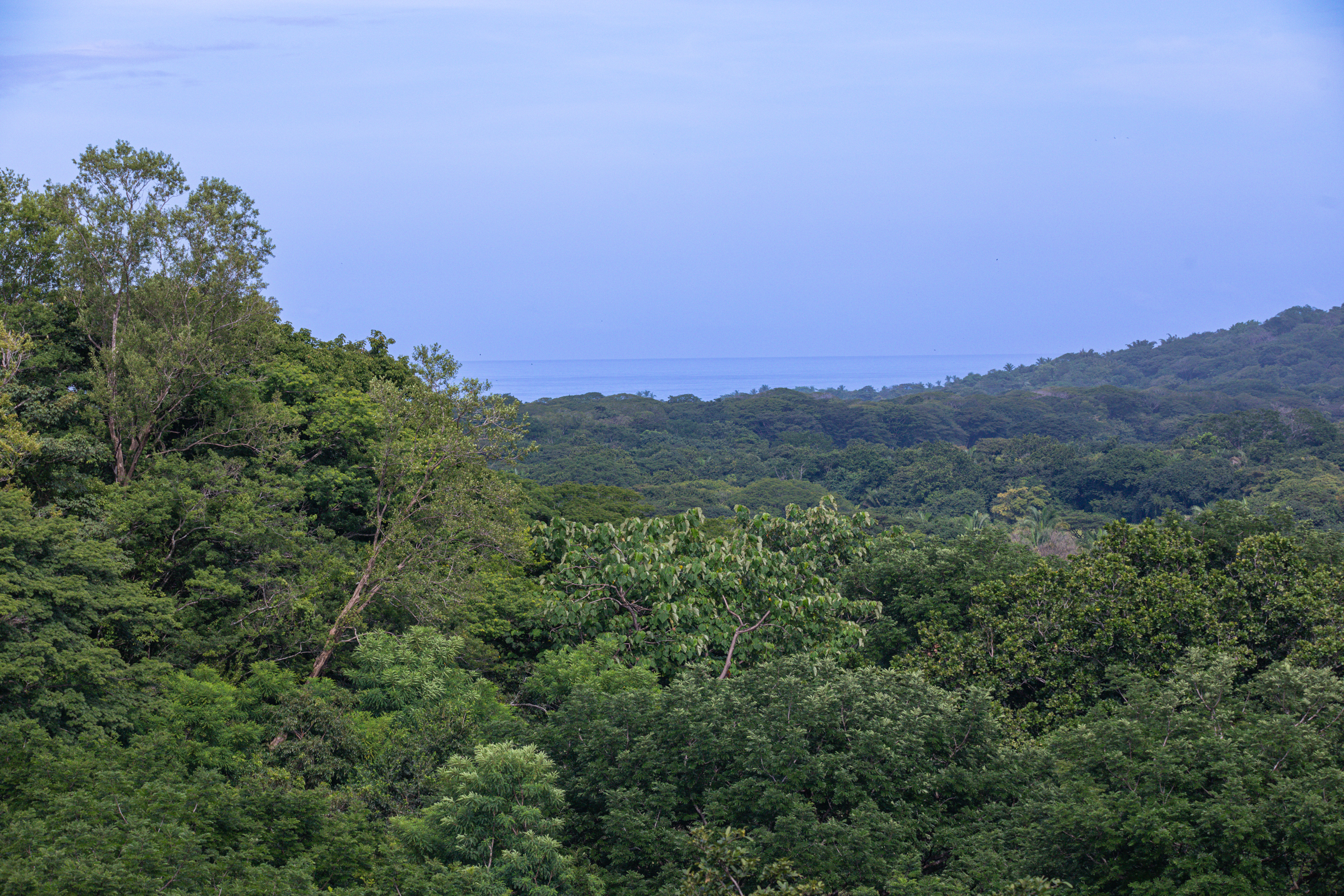 0 bed Land For Sale in Nosara, Guanacaste - thumb 2