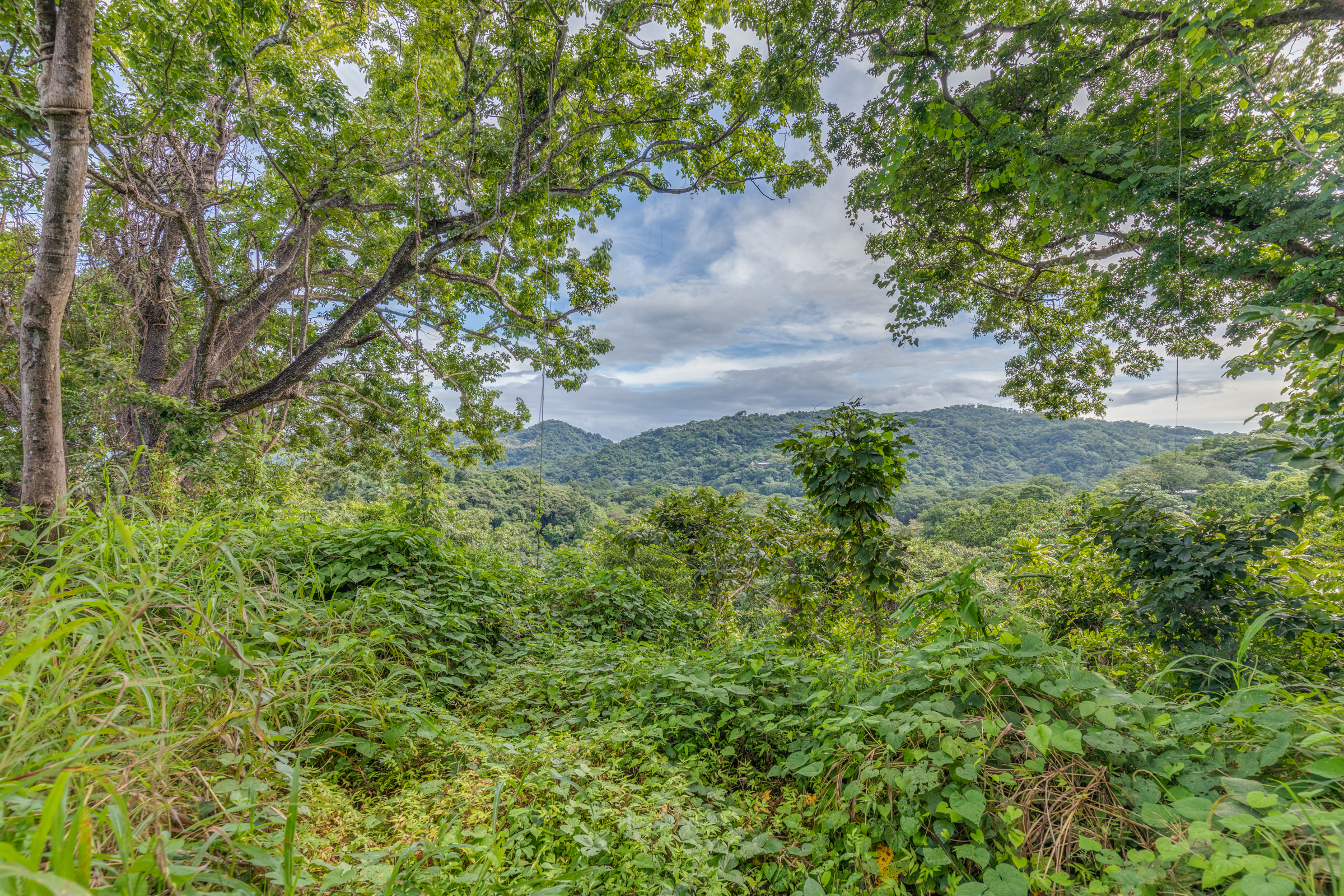 0 bed Land For Sale in Nosara, Guanacaste - thumb 15