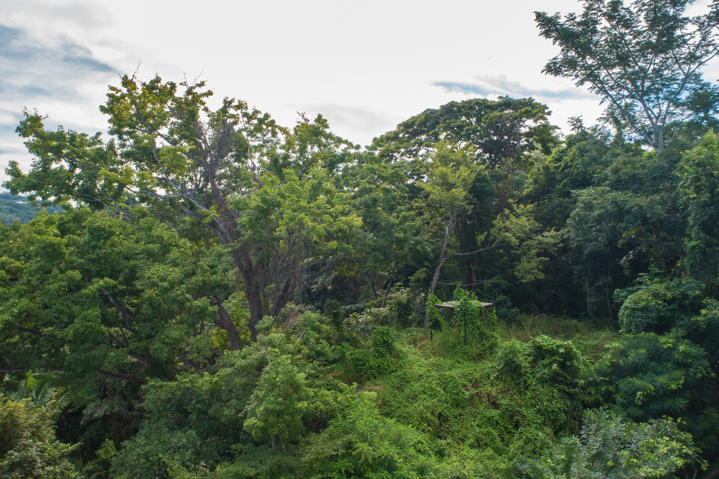 0 bed Land For Sale in Nosara, Guanacaste - thumb 6