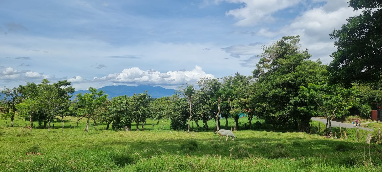 0 bed Land For Sale in Moravia, San Jose - thumb 3