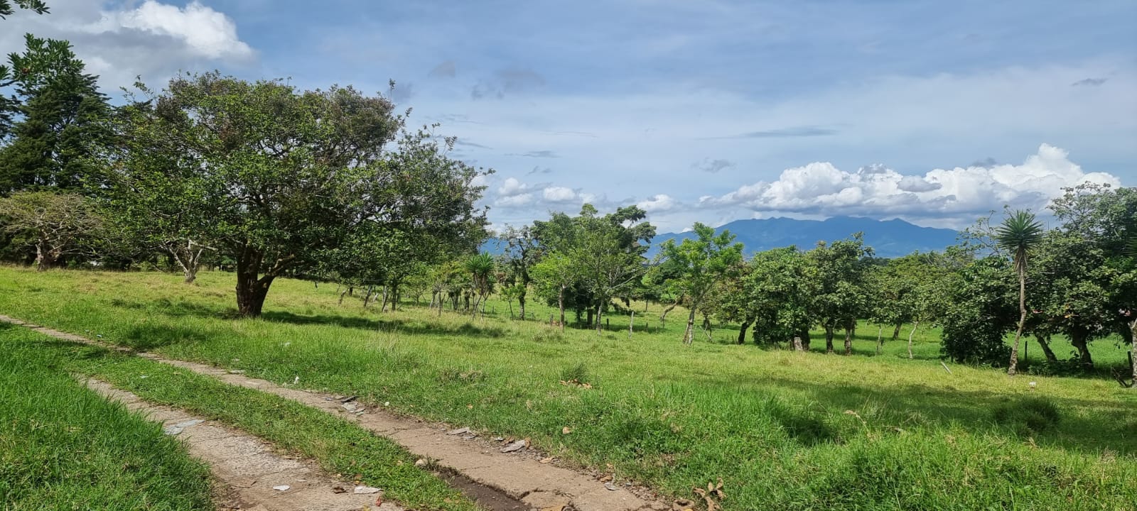 0 bed Land For Sale in Moravia, San Jose - thumb 1