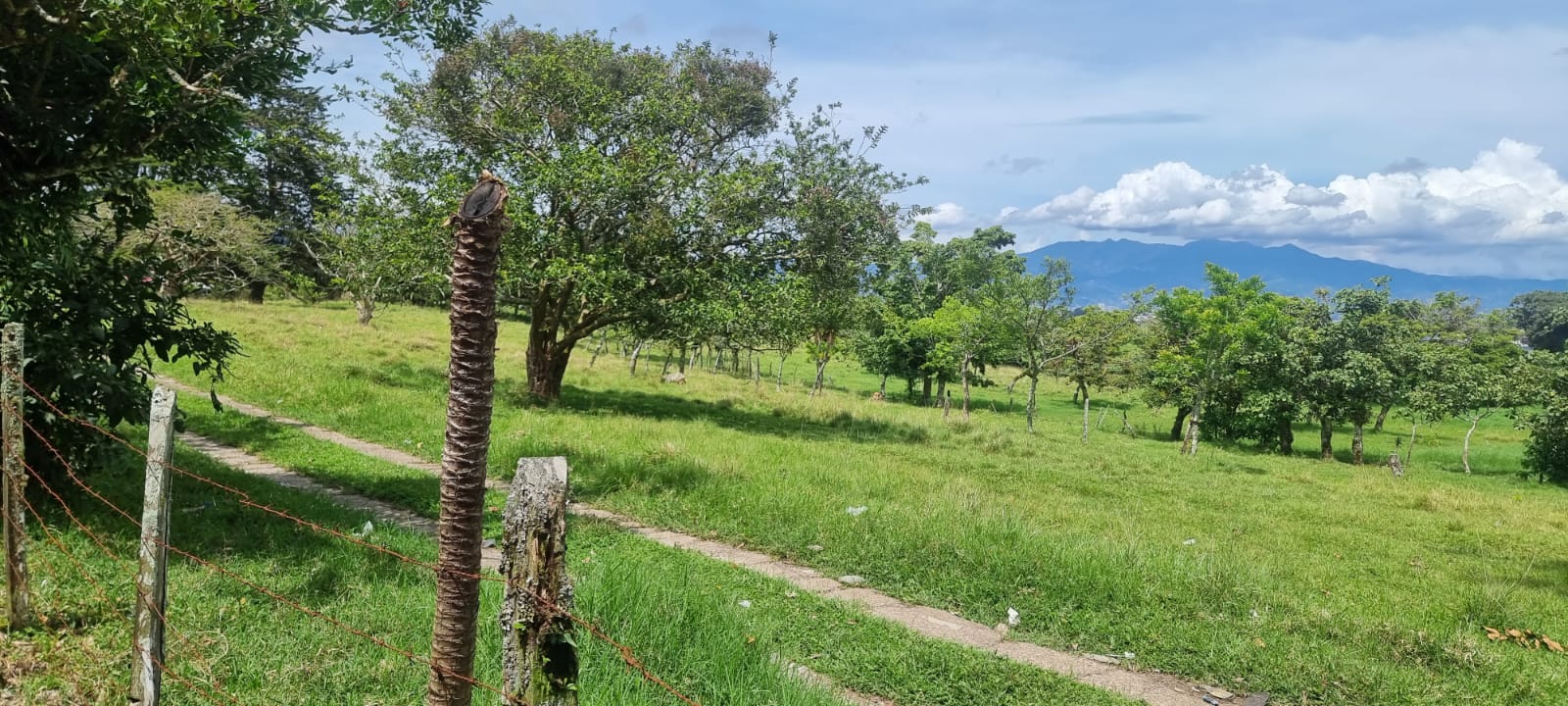 0 bed Land For Sale in Moravia, San Jose - thumb 4
