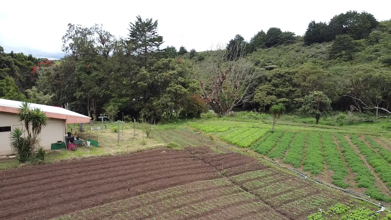 0 bed Land For Sale in Cot, Cartago - thumb 6