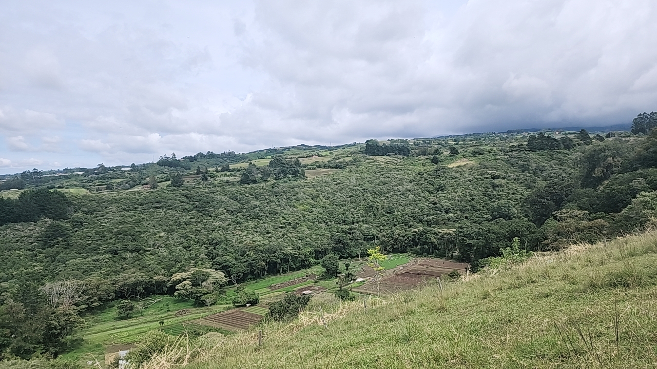 0 bed Land For Sale in Cot, Cartago - thumb 1