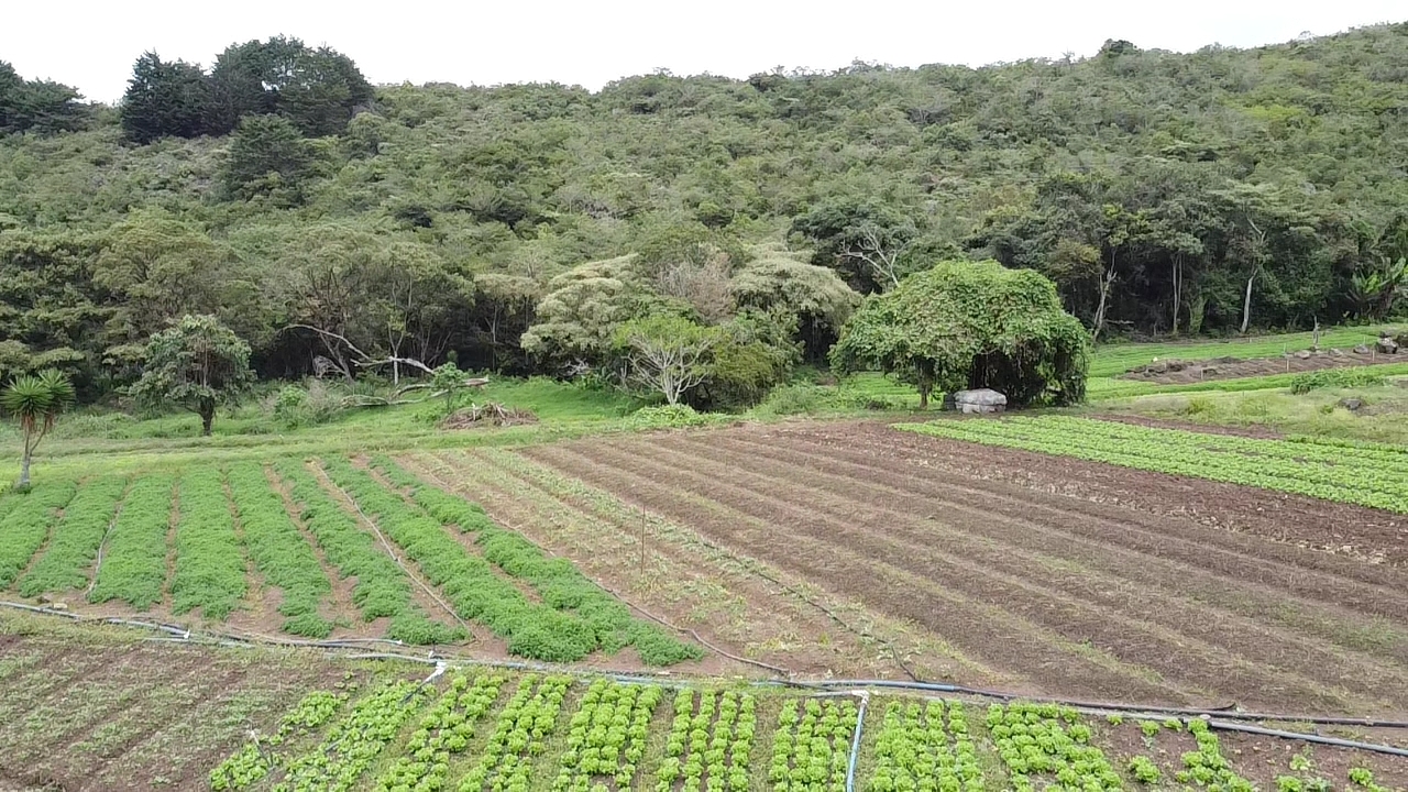 0 bed Land For Sale in Cot, Cartago - thumb 7