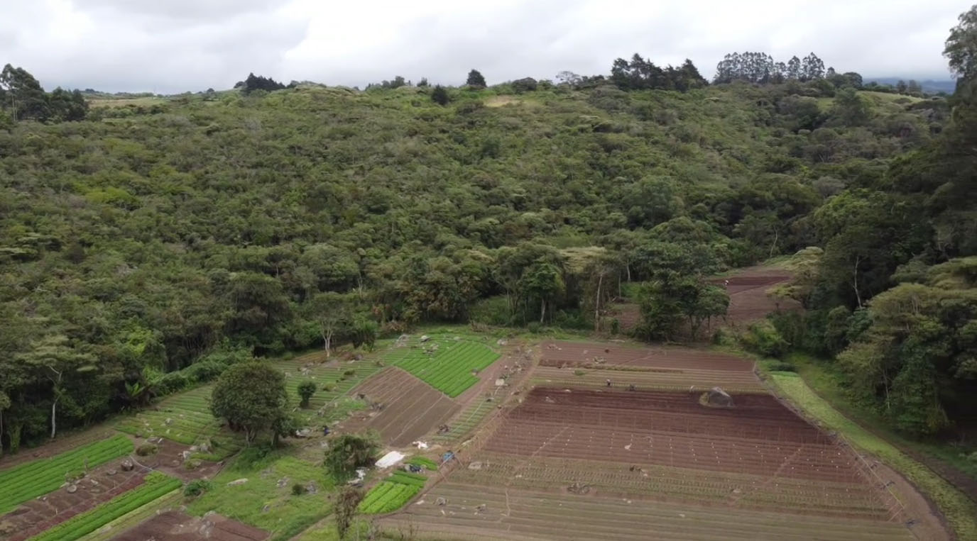 0 bed Land For Sale in Cot, Cartago - thumb 9
