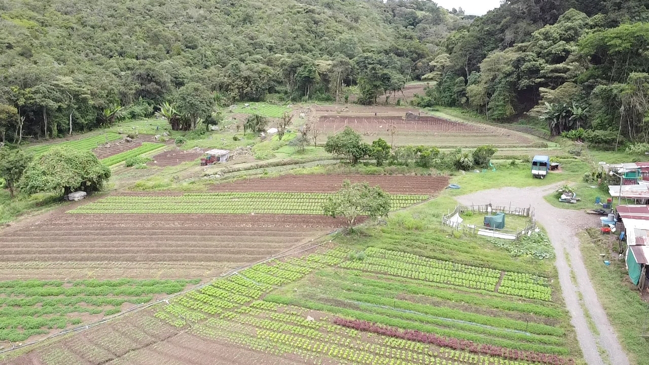 0 bed Land For Sale in Cot, Cartago - thumb 4