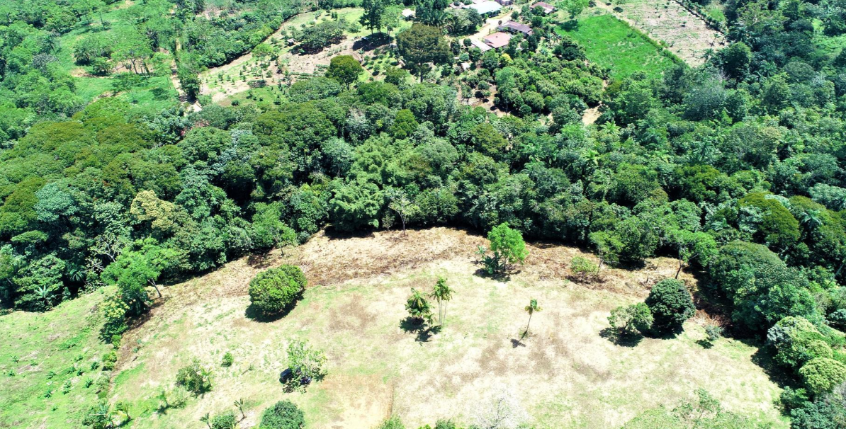 0 bed Land For Sale in Perez Zeledon, Puntarenas - thumb 1