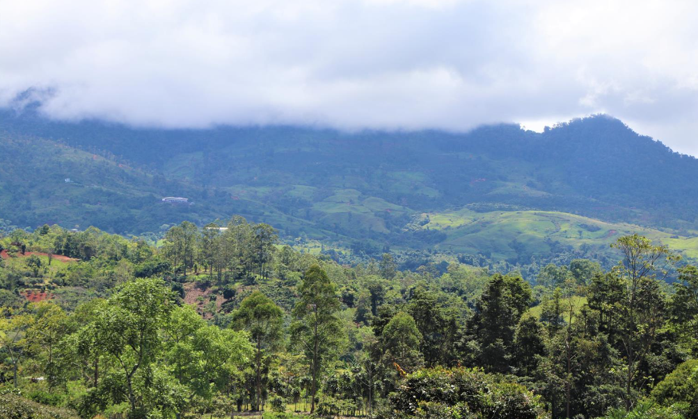 0 bed Land For Sale in Perez Zeledon, Puntarenas - thumb 10