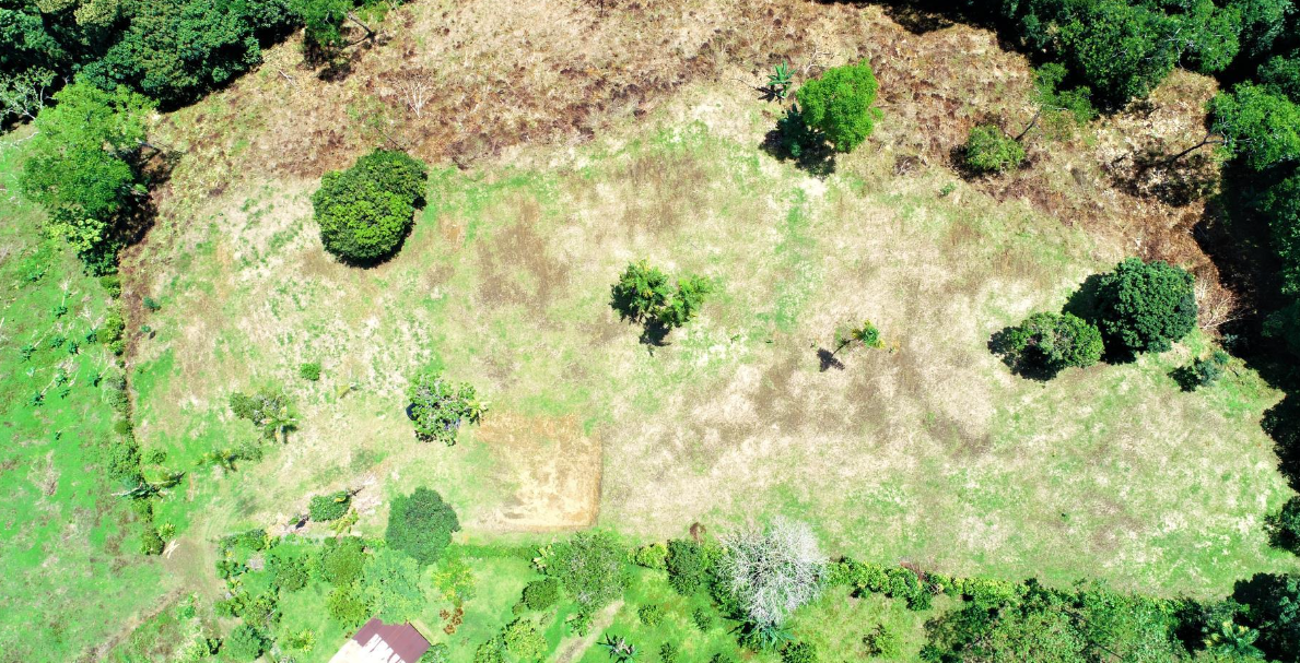 0 bed Land For Sale in Perez Zeledon, Puntarenas - thumb 4