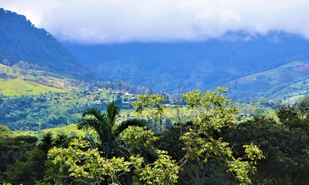 0 bed Land For Sale in Perez Zeledon, Puntarenas - thumb 13