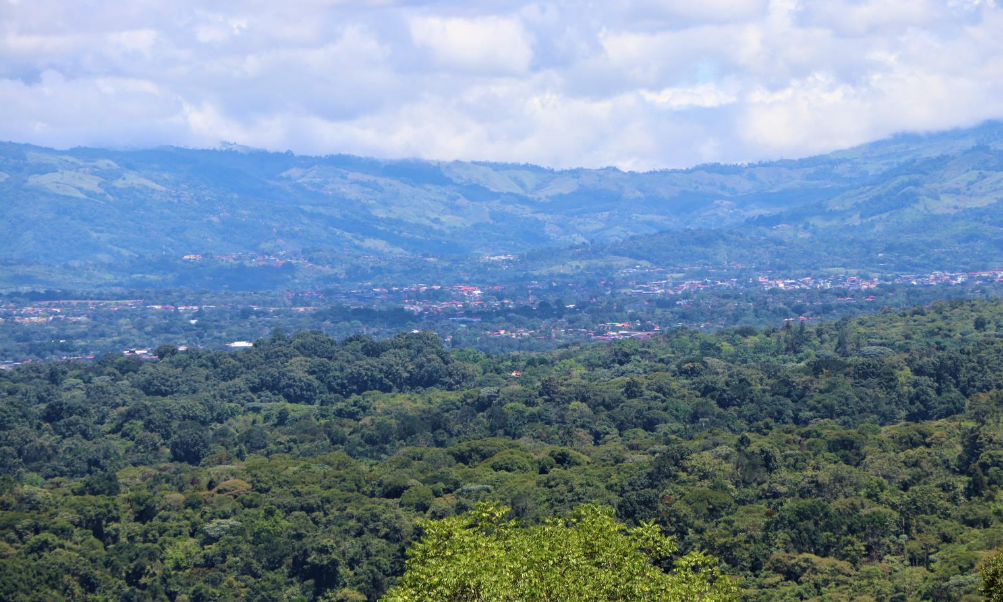 0 bed Land For Sale in Perez Zeledon, Puntarenas - thumb 11