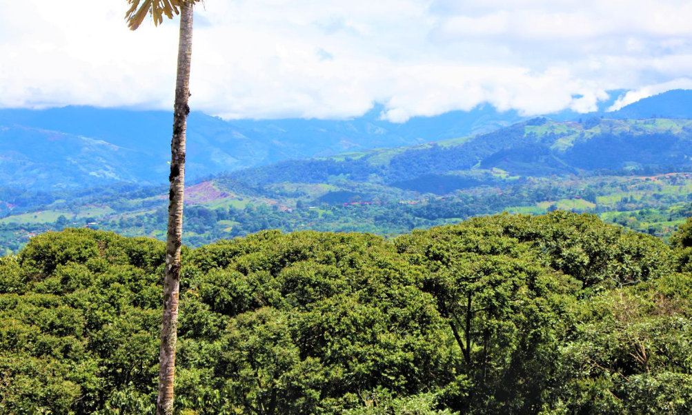 0 bed Land For Sale in Perez Zeledon, Puntarenas - thumb 12