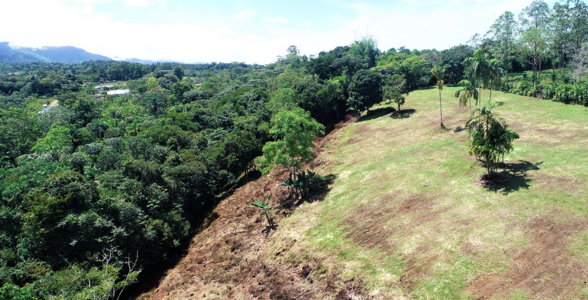 0 bed Land For Sale in Perez Zeledon, Puntarenas - thumb 7