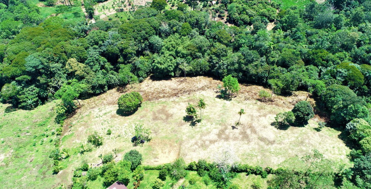 0 bed Land For Sale in Perez Zeledon, Puntarenas - thumb 3