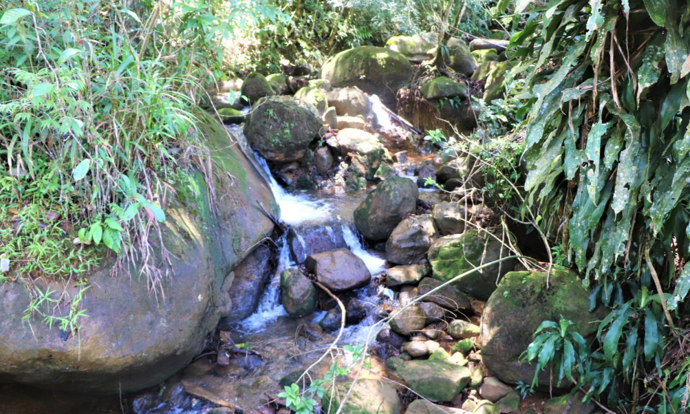 0 bed Land For Sale in Perez Zeledon, Puntarenas - thumb 14