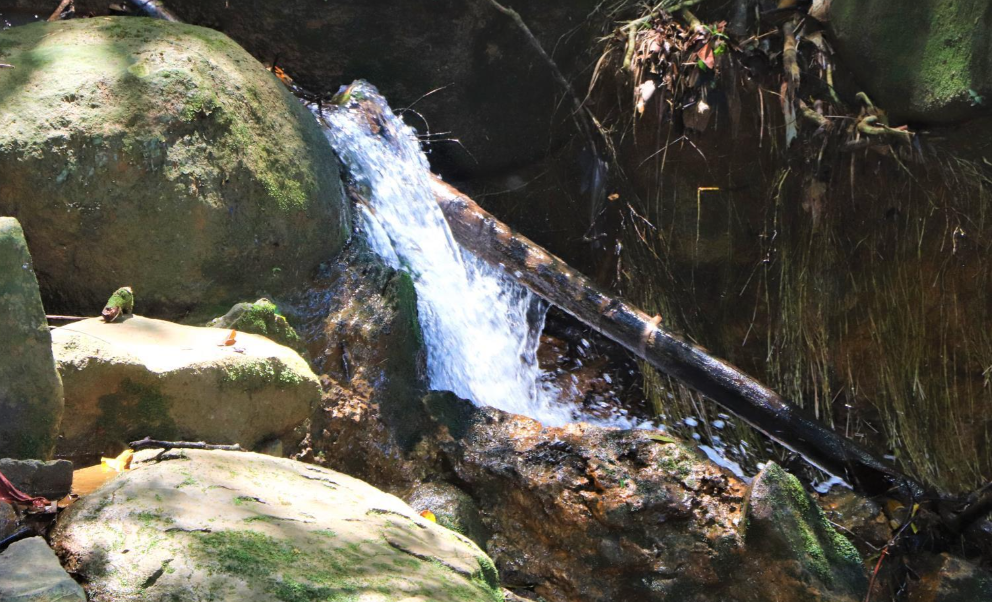 0 bed Land For Sale in Perez Zeledon, Puntarenas - thumb 17