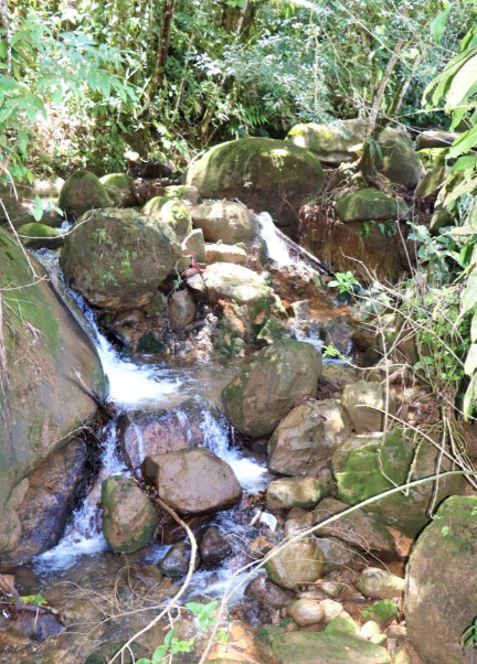 0 bed Land For Sale in Perez Zeledon, Puntarenas - thumb 15