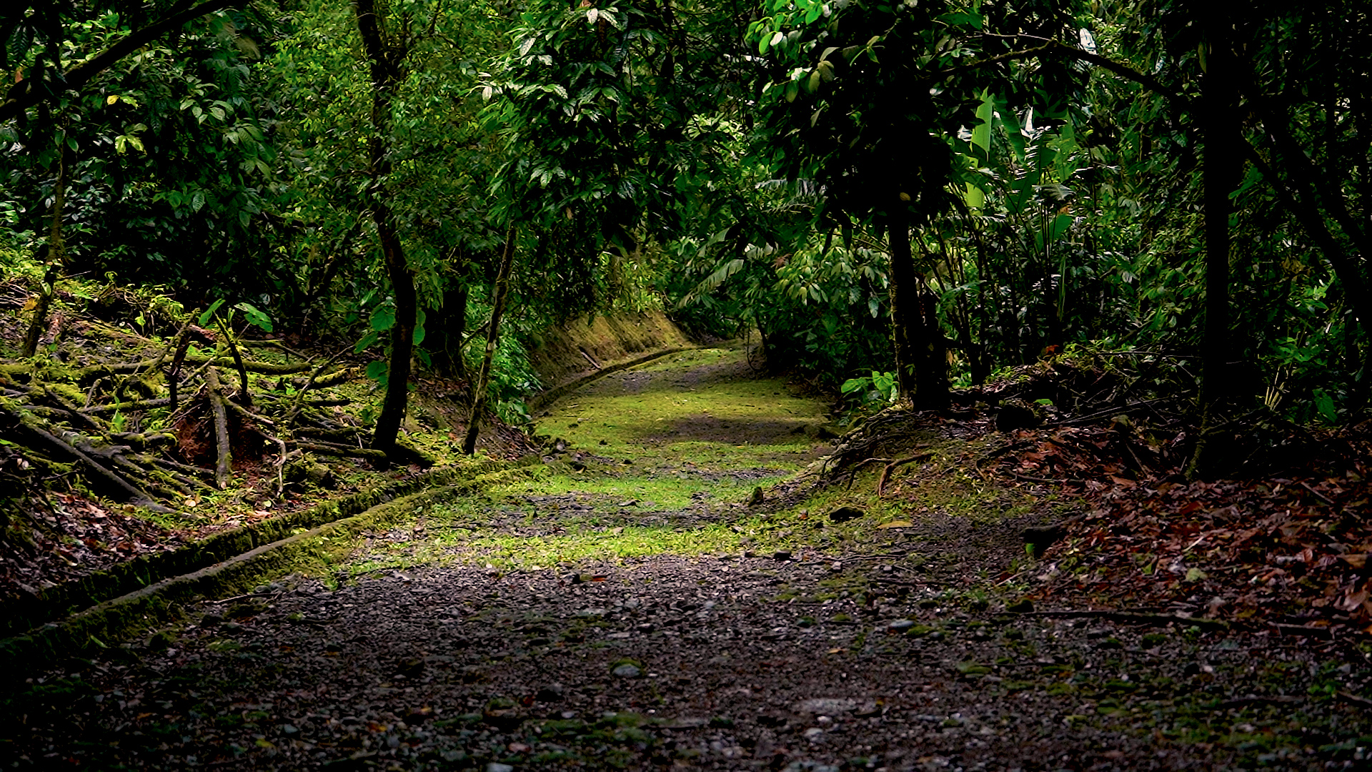 0 bed Land For Sale in Quepos, Puntarenas - thumb 2