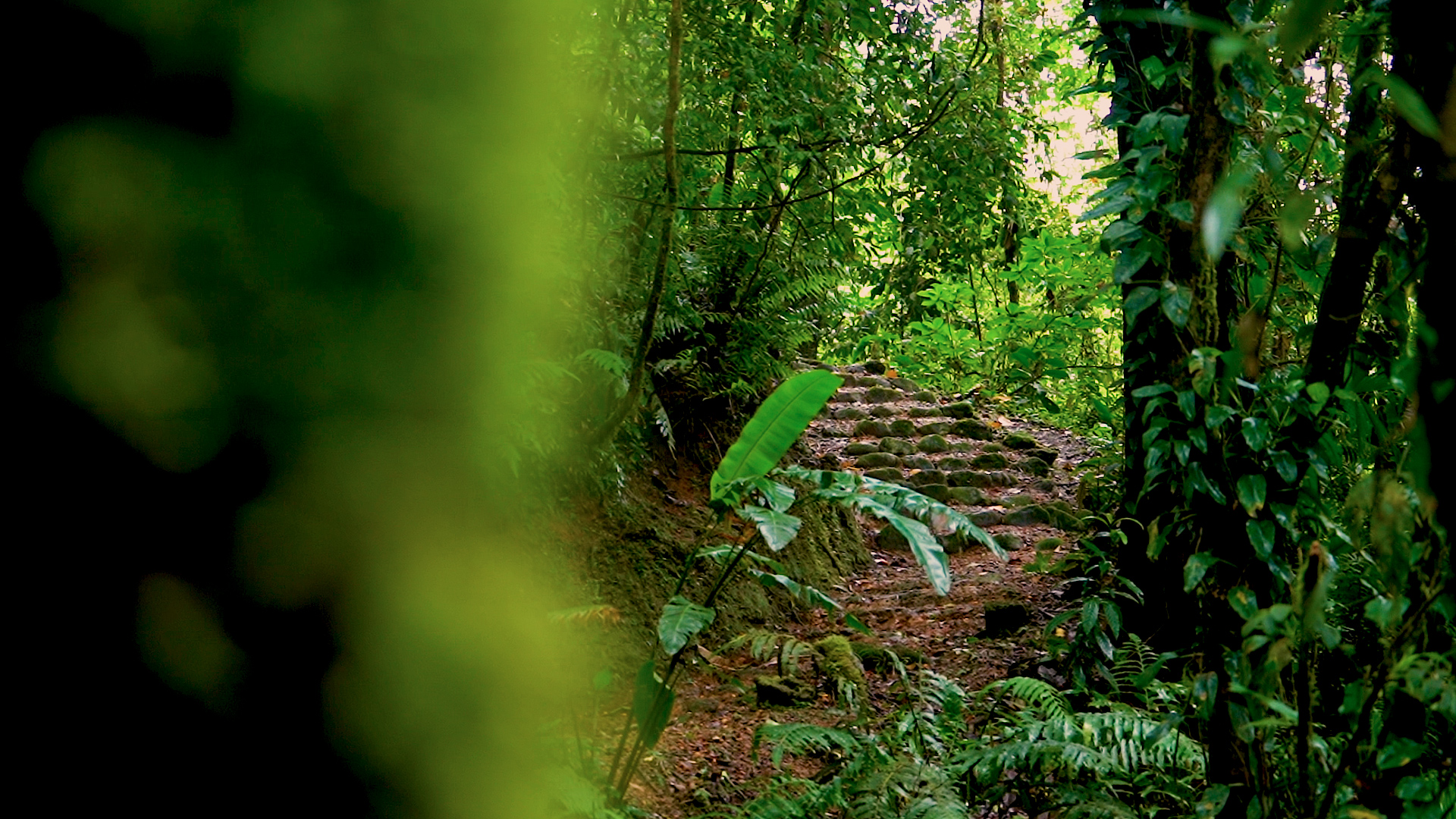 0 bed Land For Sale in Quepos, Puntarenas - thumb 4